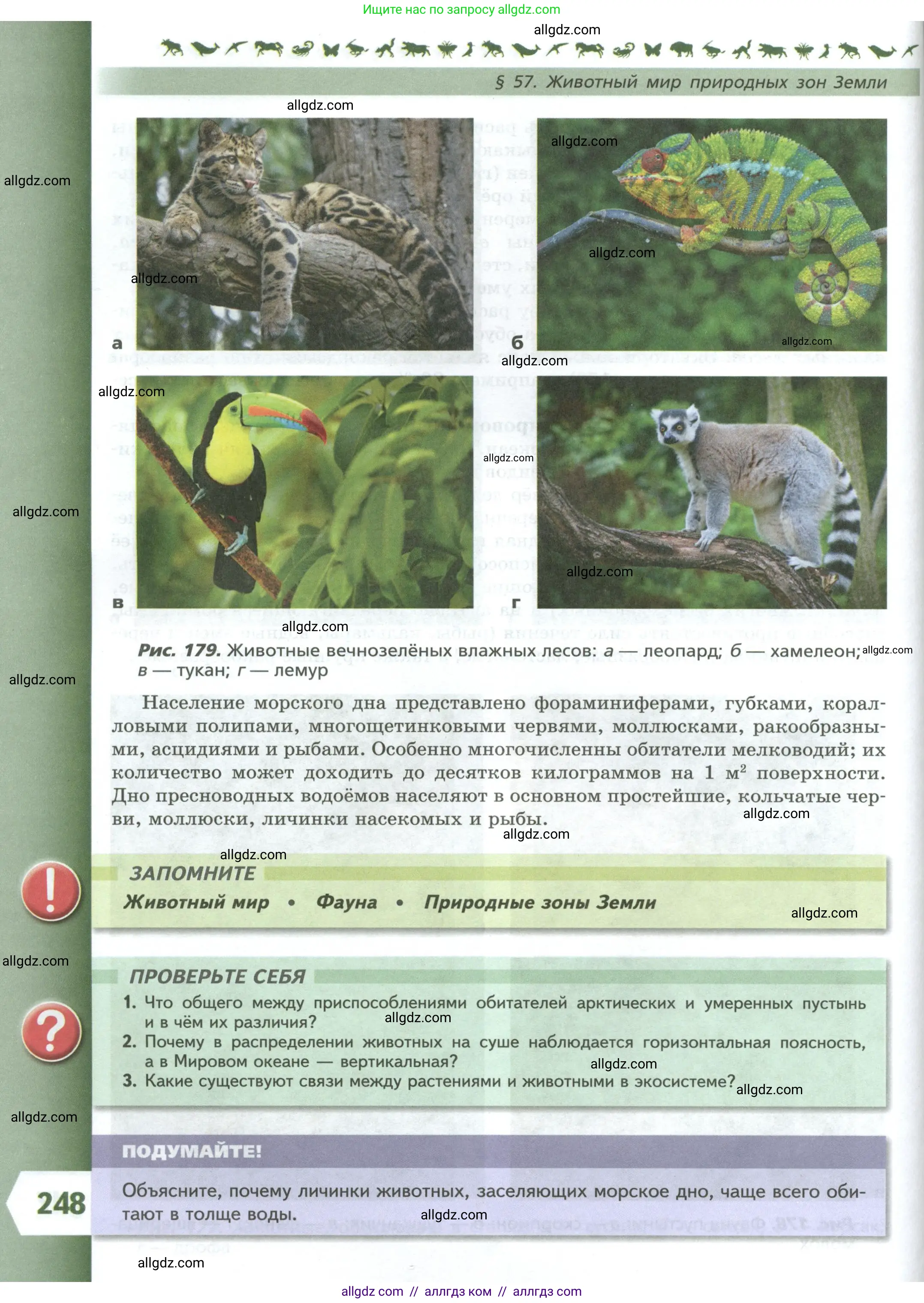 Биология, 8 класс Учебник, авторы: Пасечник Владимир Васильевич, Суматохин Сергей Витальевич, Гапонюк Зоя Георгиевна, издательство Просвещение, Москва, 2023, белого цвета, страница 248