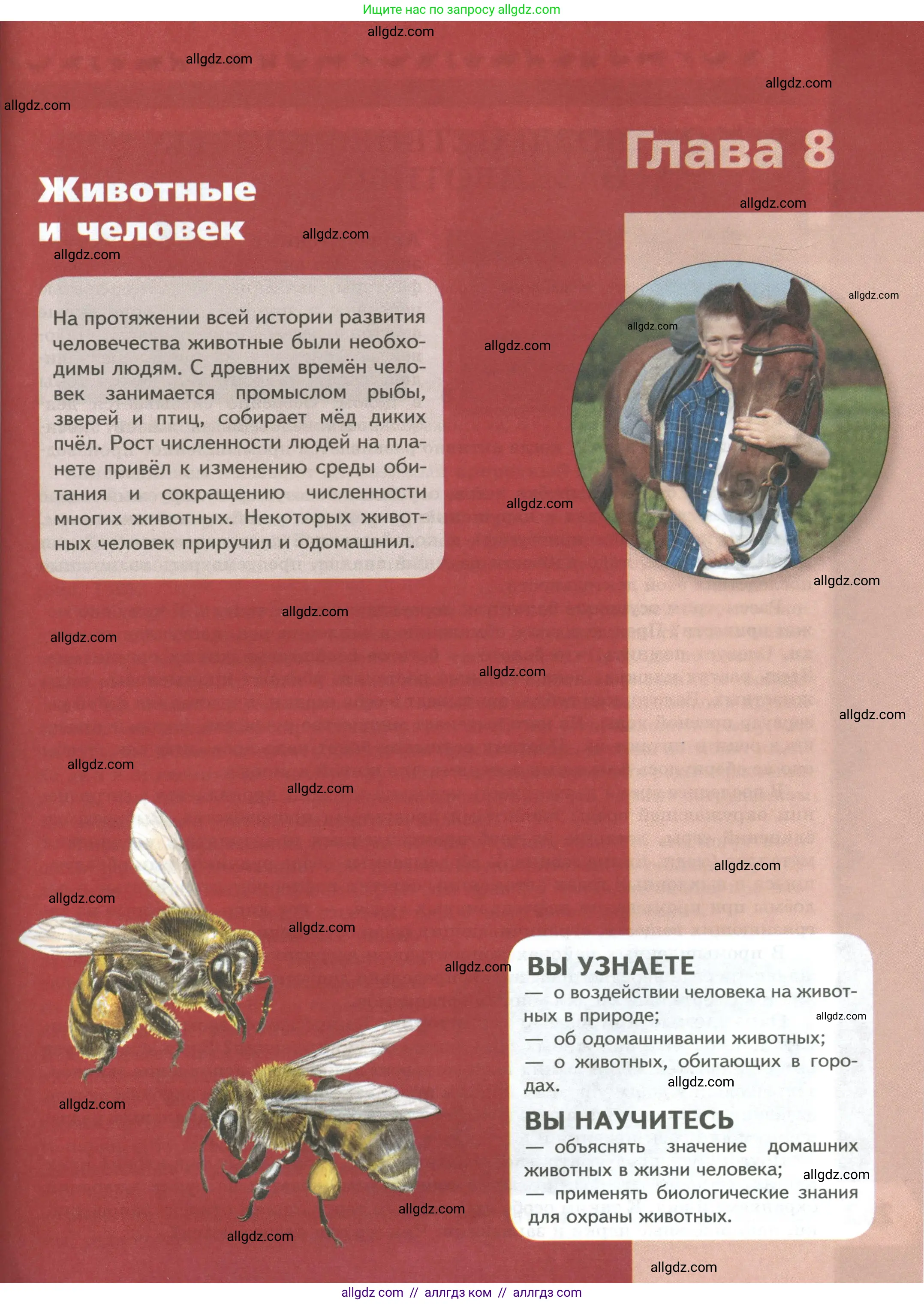 Биология, 8 класс Учебник, авторы: Пасечник Владимир Васильевич, Суматохин Сергей Витальевич, Гапонюк Зоя Георгиевна, издательство Просвещение, Москва, 2023, белого цвета, страница 251