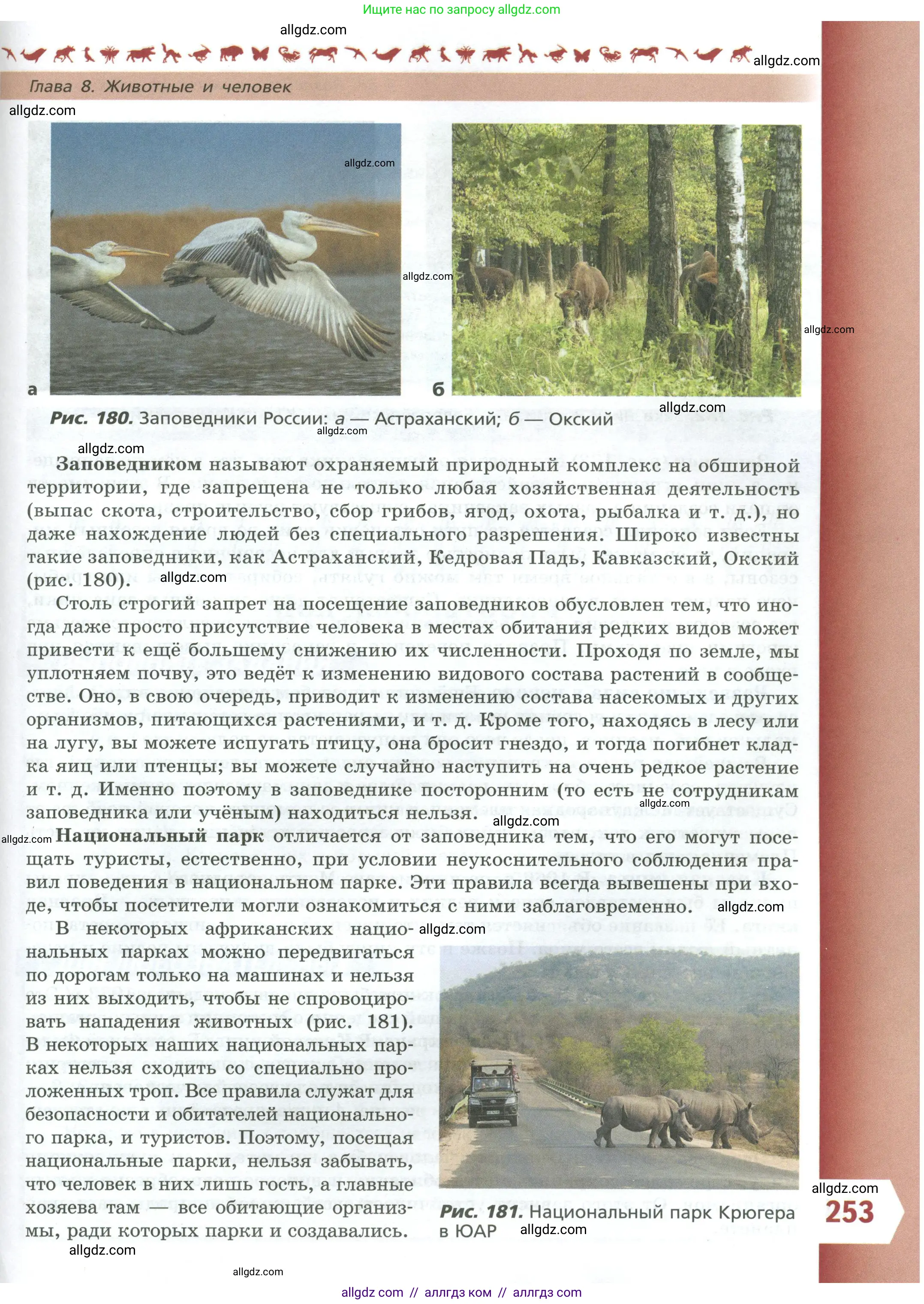 Биология, 8 класс Учебник, авторы: Пасечник Владимир Васильевич, Суматохин Сергей Витальевич, Гапонюк Зоя Георгиевна, издательство Просвещение, Москва, 2023, белого цвета, страница 253