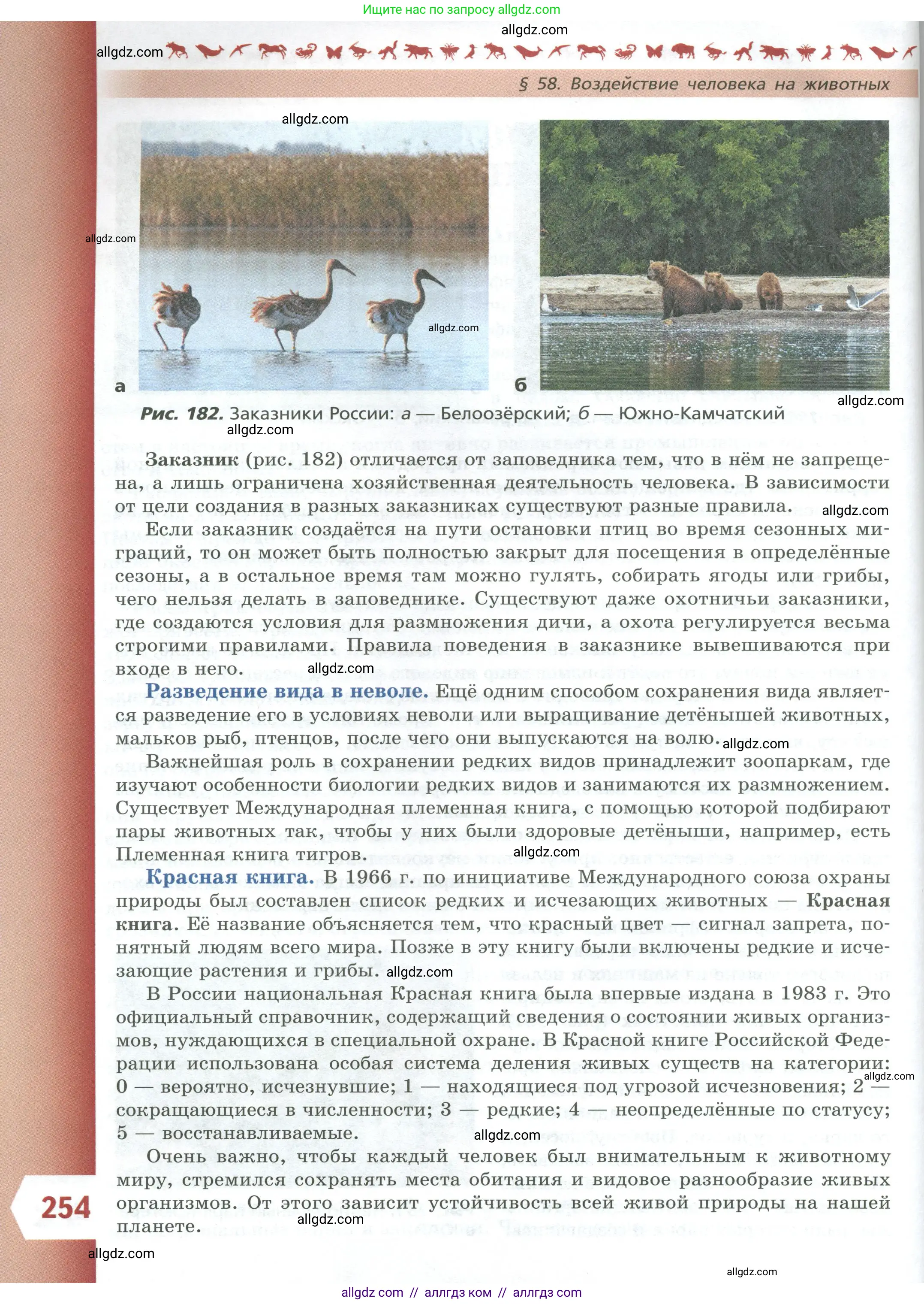 Биология, 8 класс Учебник, авторы: Пасечник Владимир Васильевич, Суматохин Сергей Витальевич, Гапонюк Зоя Георгиевна, издательство Просвещение, Москва, 2023, белого цвета, страница 254
