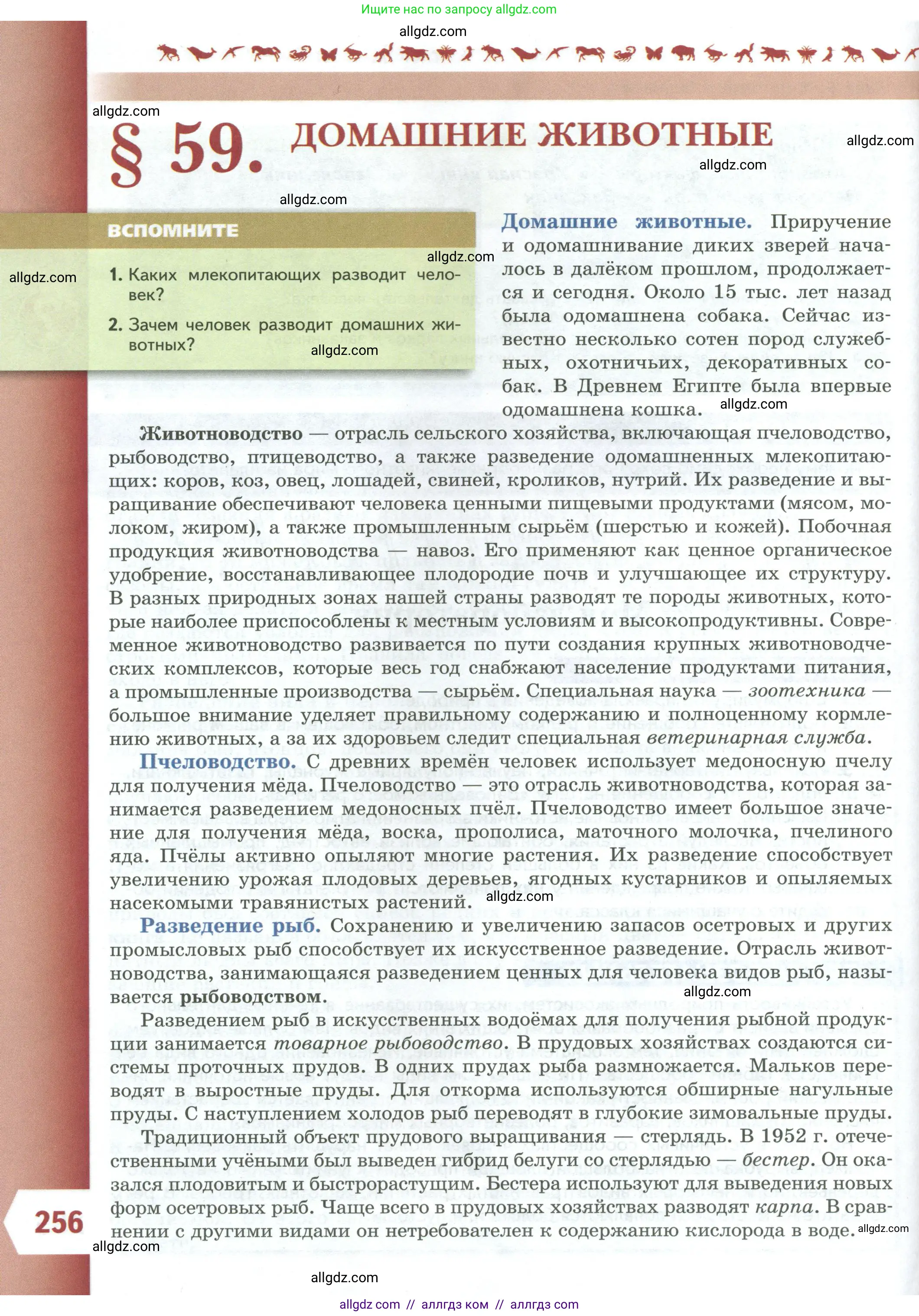 Биология, 8 класс Учебник, авторы: Пасечник Владимир Васильевич, Суматохин Сергей Витальевич, Гапонюк Зоя Георгиевна, издательство Просвещение, Москва, 2023, белого цвета, страница 256