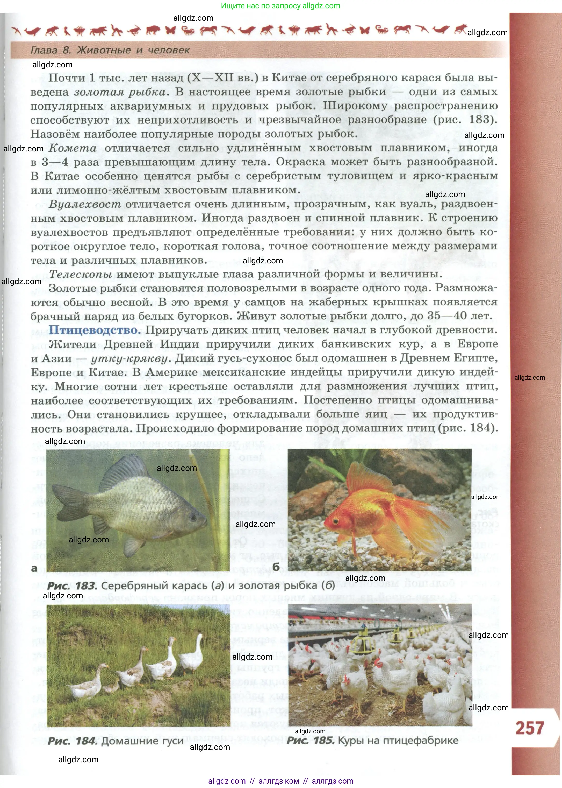 Биология, 8 класс Учебник, авторы: Пасечник Владимир Васильевич, Суматохин Сергей Витальевич, Гапонюк Зоя Георгиевна, издательство Просвещение, Москва, 2023, белого цвета, страница 257