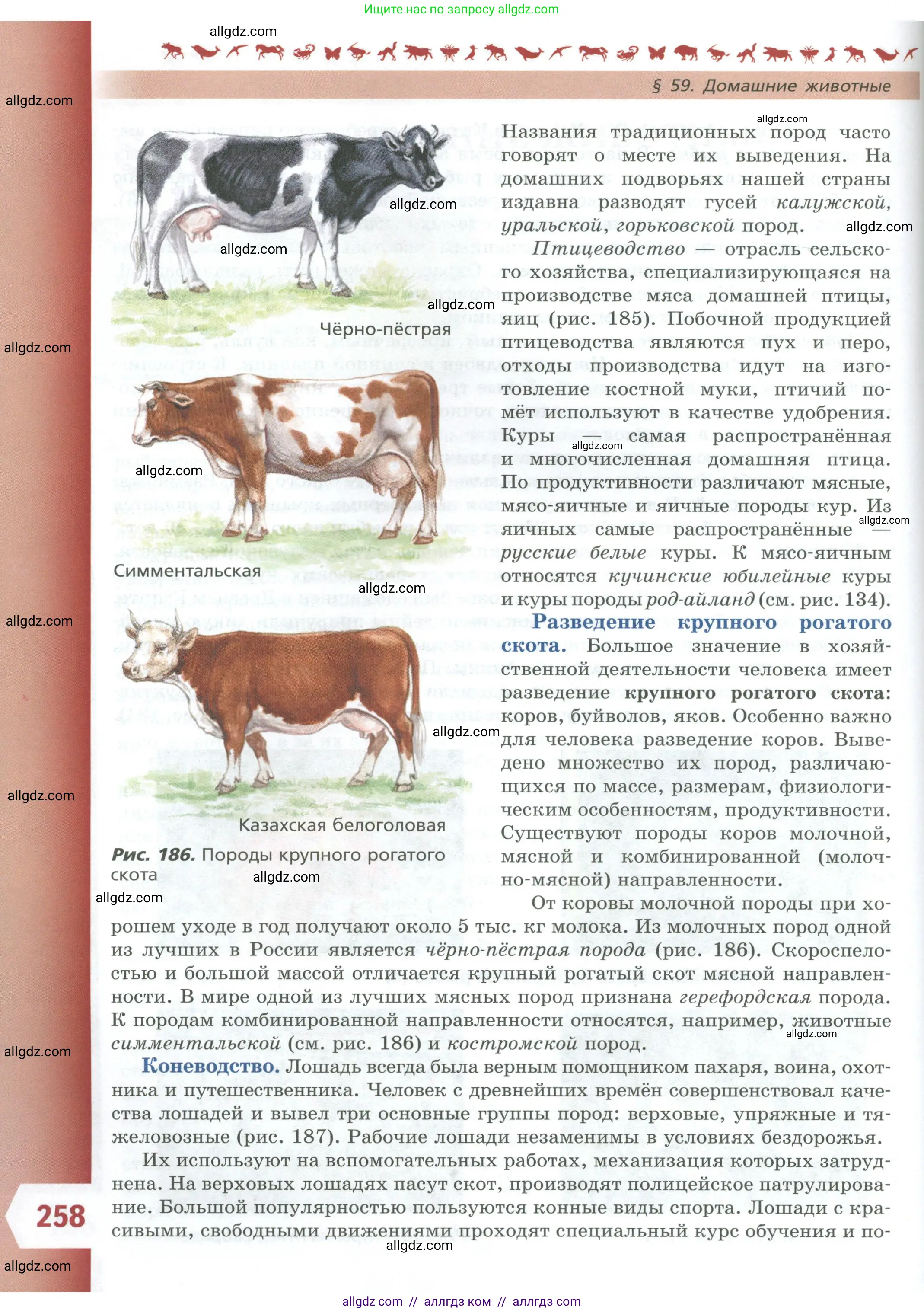 Биология, 8 класс Учебник, авторы: Пасечник Владимир Васильевич, Суматохин Сергей Витальевич, Гапонюк Зоя Георгиевна, издательство Просвещение, Москва, 2023, белого цвета, страница 258