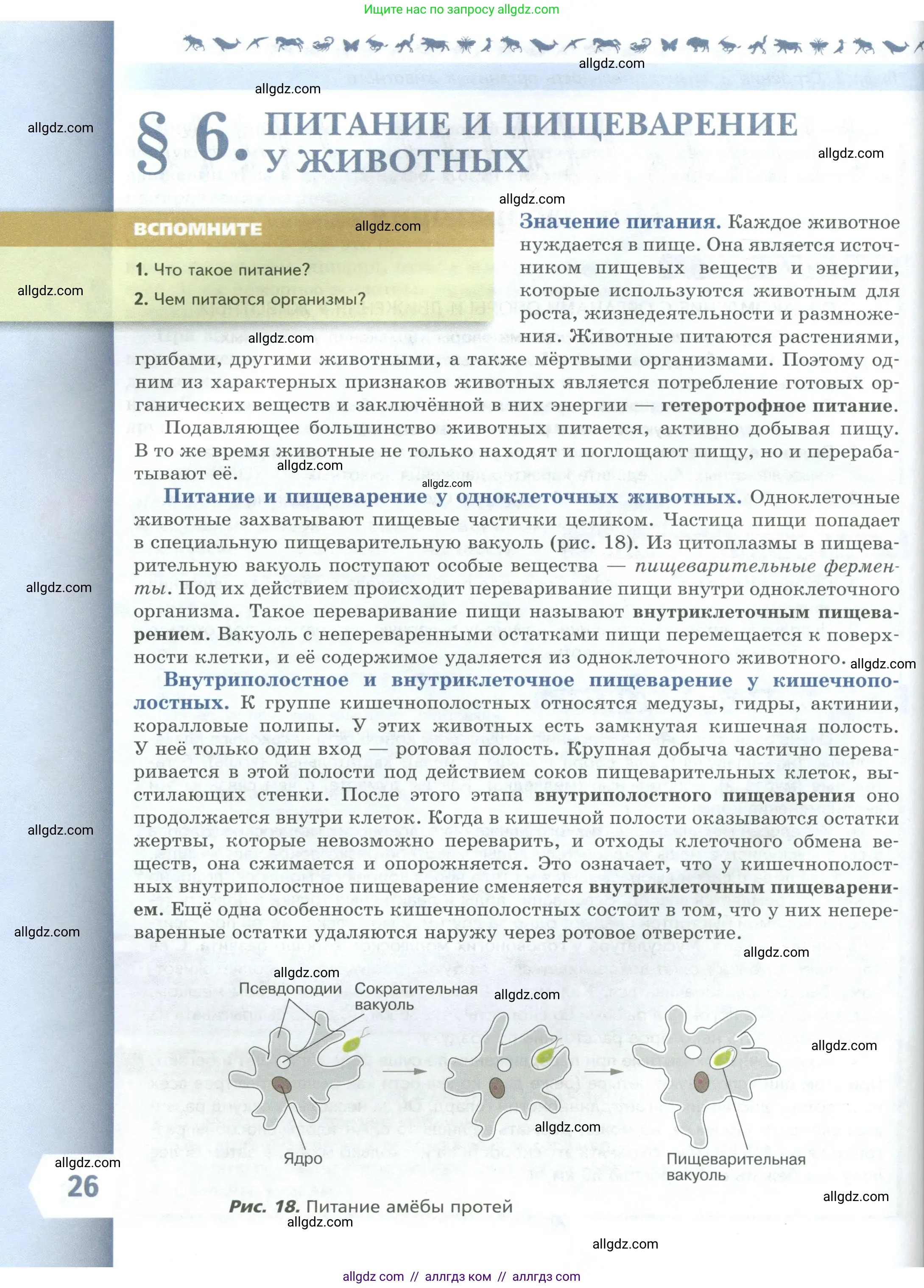 Биология, 8 класс Учебник, авторы: Пасечник Владимир Васильевич, Суматохин Сергей Витальевич, Гапонюк Зоя Георгиевна, издательство Просвещение, Москва, 2023, белого цвета, страница 26