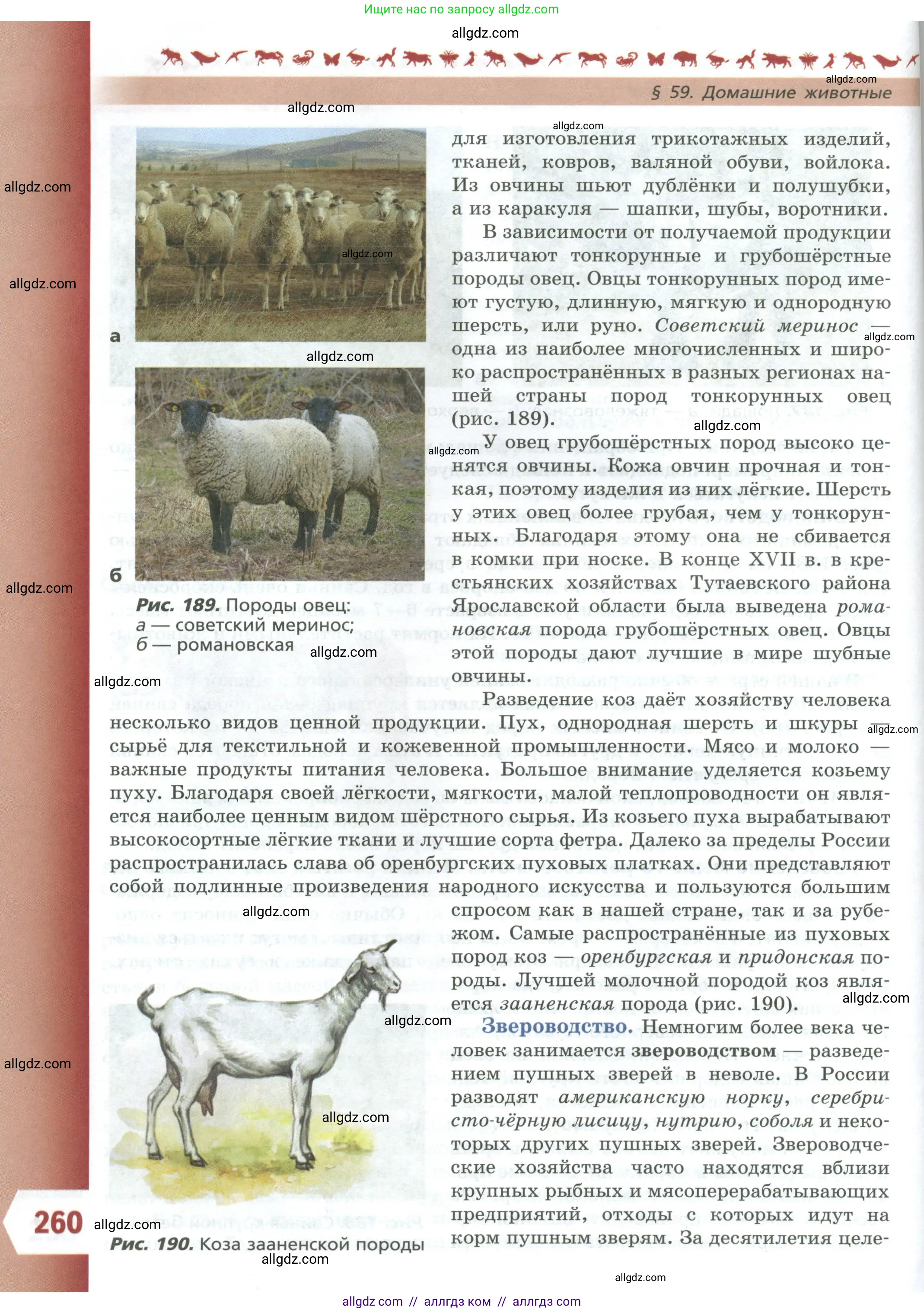 Биология, 8 класс Учебник, авторы: Пасечник Владимир Васильевич, Суматохин Сергей Витальевич, Гапонюк Зоя Георгиевна, издательство Просвещение, Москва, 2023, белого цвета, страница 260