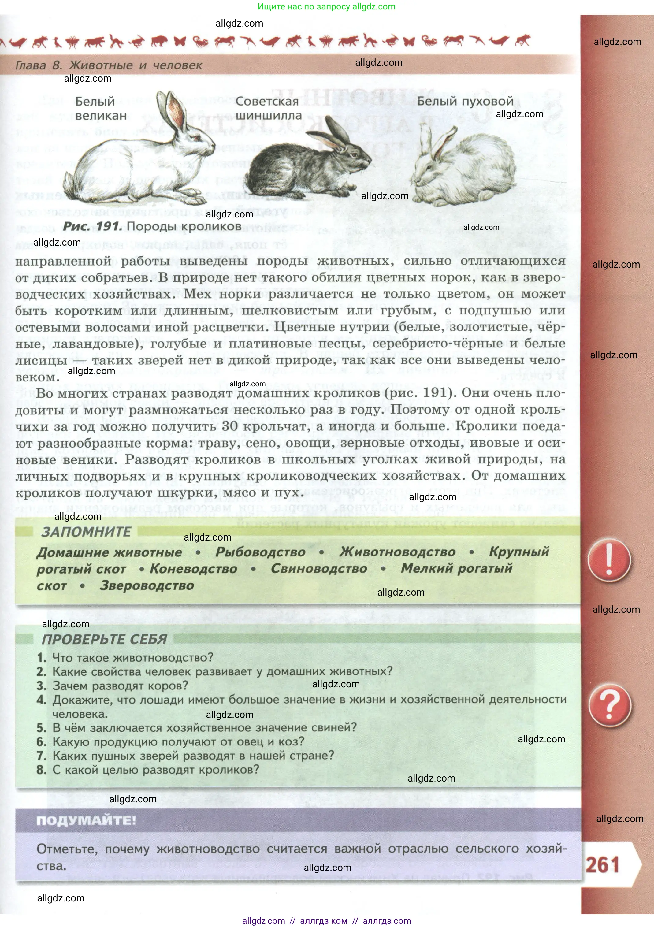 Биология, 8 класс Учебник, авторы: Пасечник Владимир Васильевич, Суматохин Сергей Витальевич, Гапонюк Зоя Георгиевна, издательство Просвещение, Москва, 2023, белого цвета, страница 261