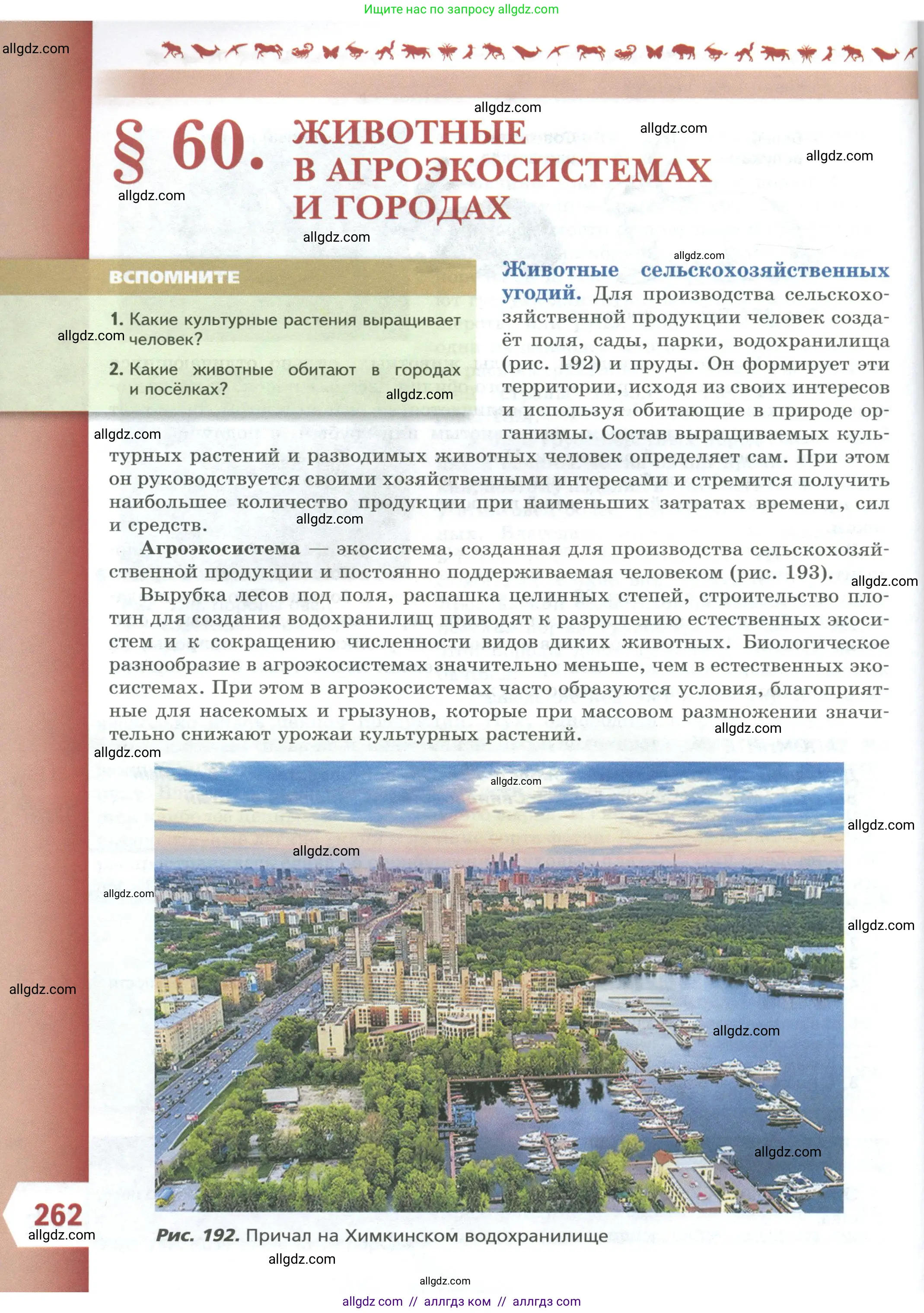 Биология, 8 класс Учебник, авторы: Пасечник Владимир Васильевич, Суматохин Сергей Витальевич, Гапонюк Зоя Георгиевна, издательство Просвещение, Москва, 2023, белого цвета, страница 262