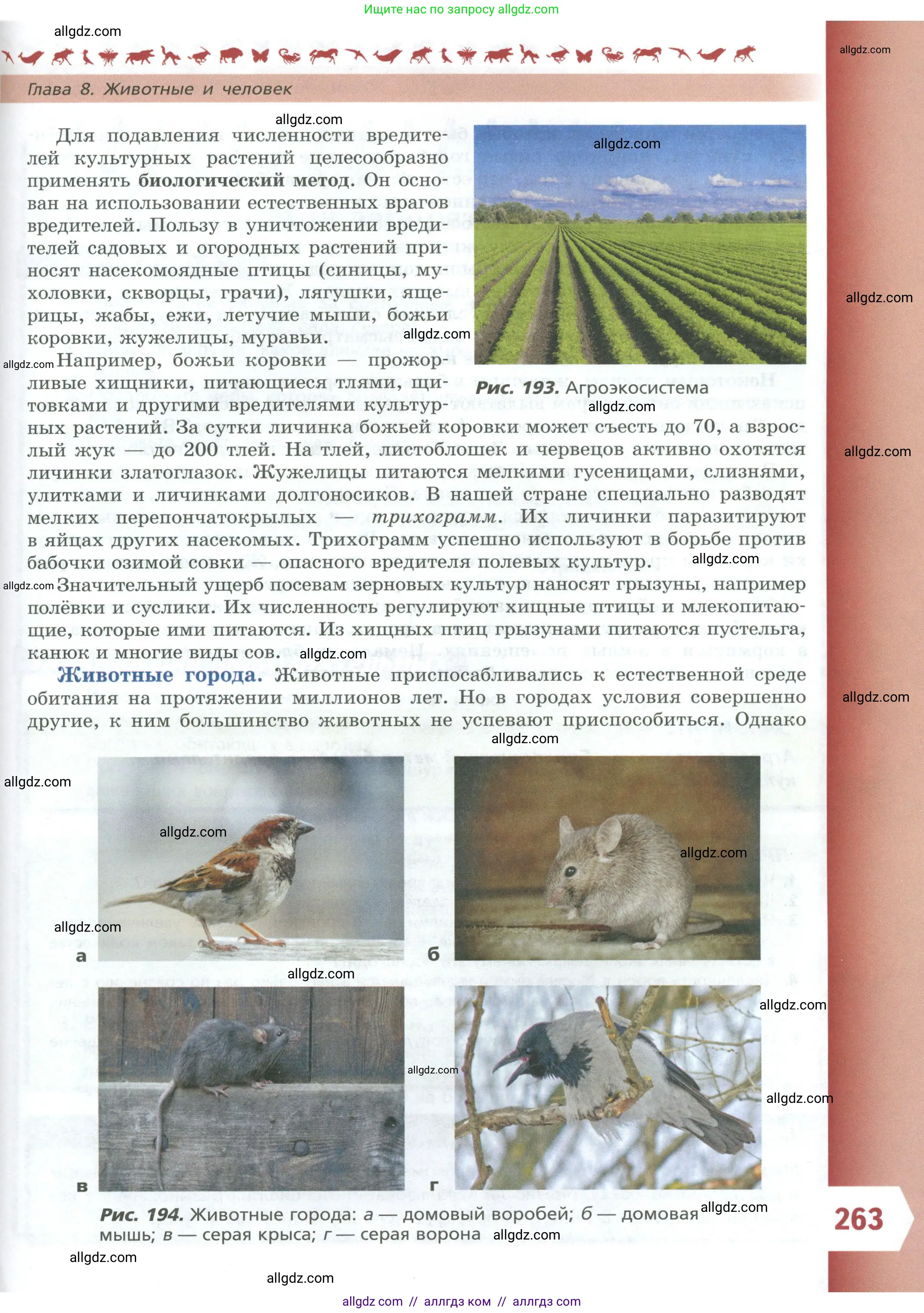 Биология, 8 класс Учебник, авторы: Пасечник Владимир Васильевич, Суматохин Сергей Витальевич, Гапонюк Зоя Георгиевна, издательство Просвещение, Москва, 2023, белого цвета, страница 263