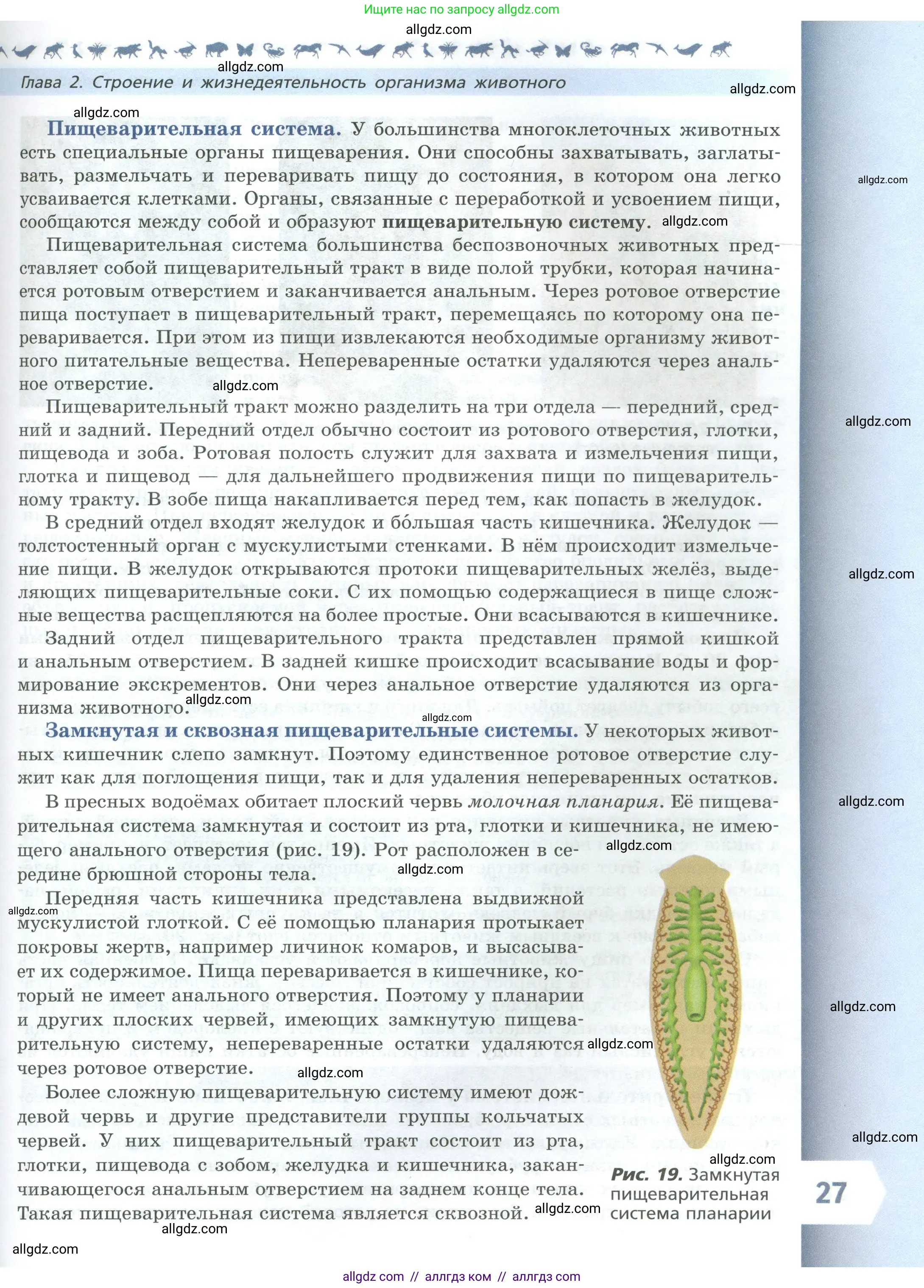 Биология, 8 класс Учебник, авторы: Пасечник Владимир Васильевич, Суматохин Сергей Витальевич, Гапонюк Зоя Георгиевна, издательство Просвещение, Москва, 2023, белого цвета, страница 27