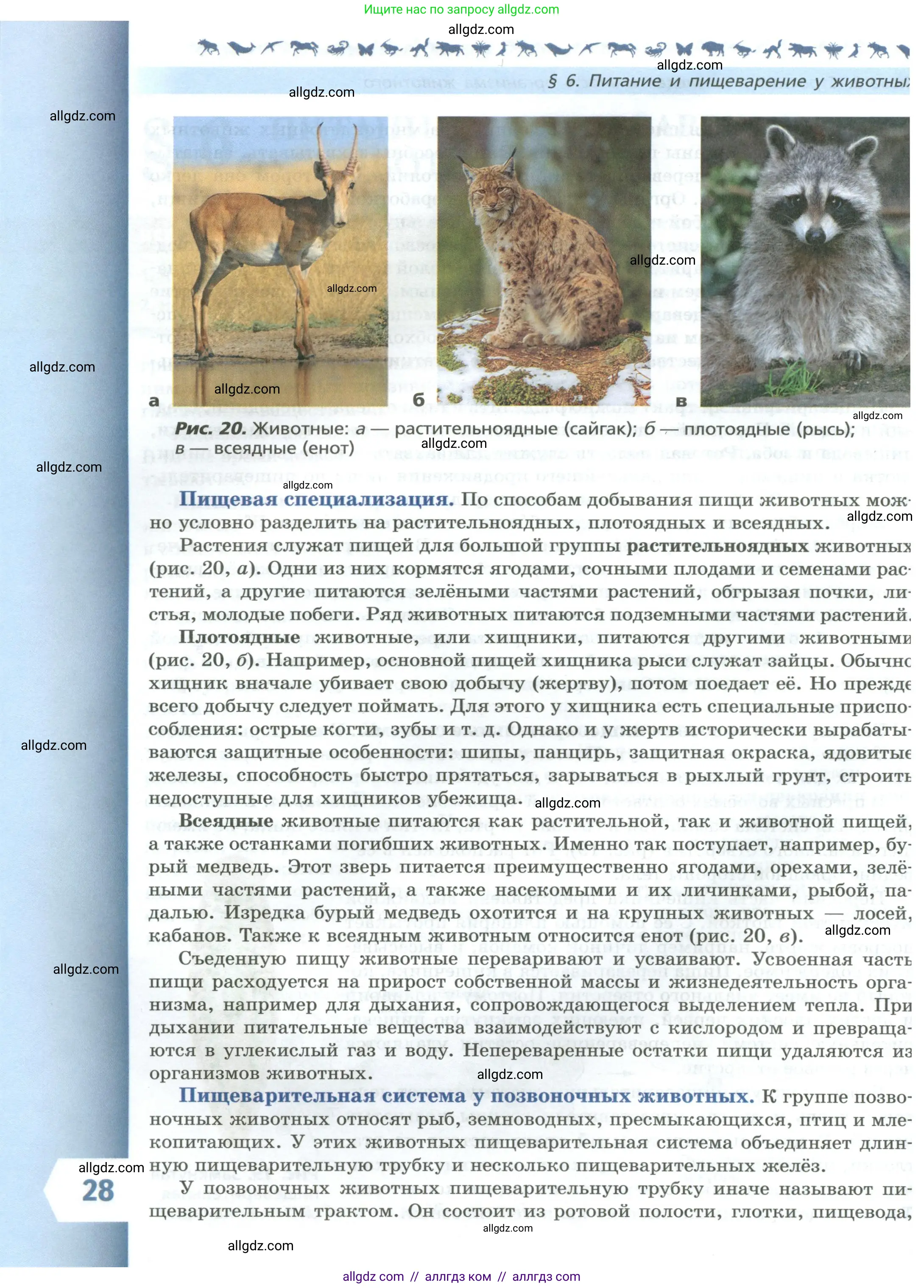 Биология, 8 класс Учебник, авторы: Пасечник Владимир Васильевич, Суматохин Сергей Витальевич, Гапонюк Зоя Георгиевна, издательство Просвещение, Москва, 2023, белого цвета, страница 28