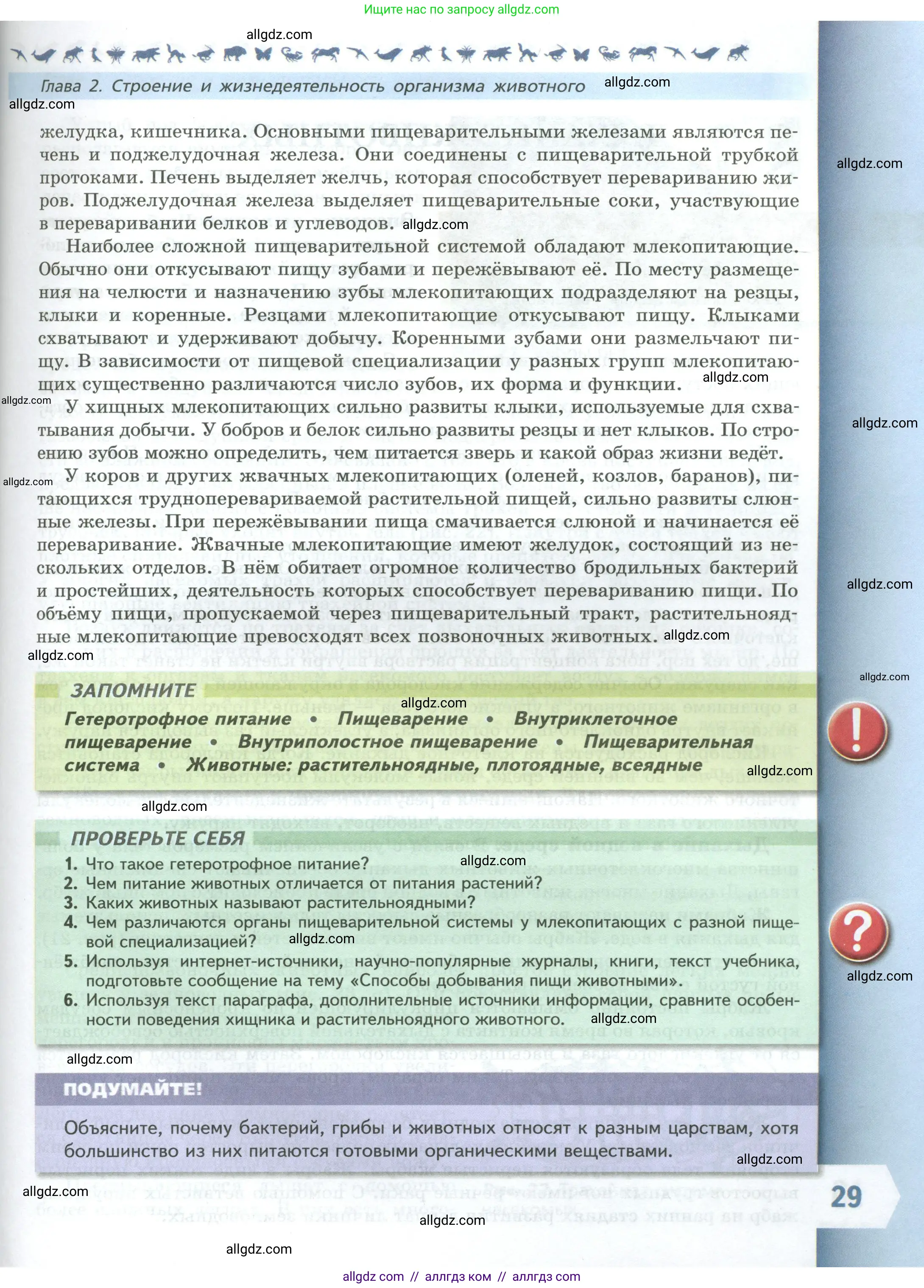 Биология, 8 класс Учебник, авторы: Пасечник Владимир Васильевич, Суматохин Сергей Витальевич, Гапонюк Зоя Георгиевна, издательство Просвещение, Москва, 2023, белого цвета, страница 29