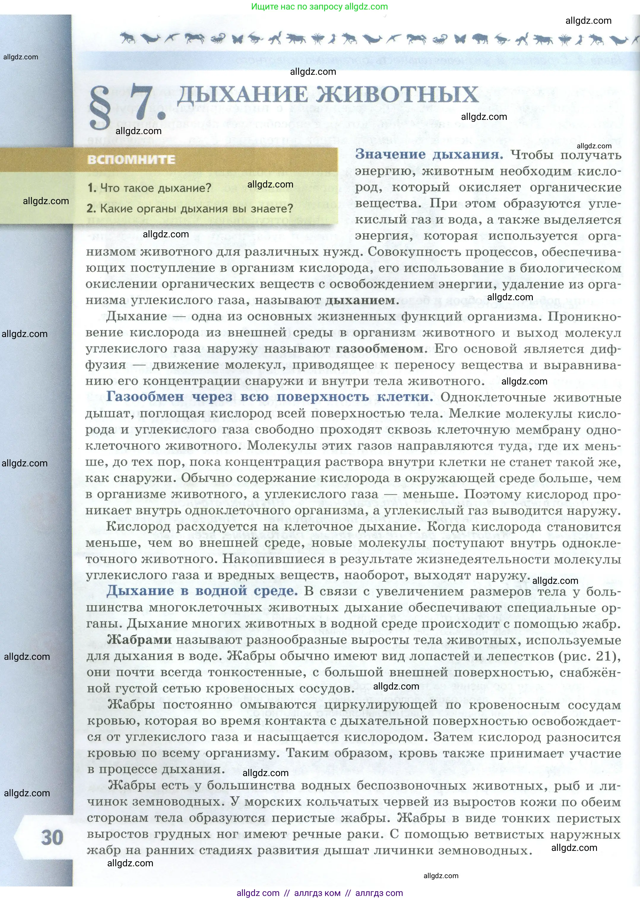 Биология, 8 класс Учебник, авторы: Пасечник Владимир Васильевич, Суматохин Сергей Витальевич, Гапонюк Зоя Георгиевна, издательство Просвещение, Москва, 2023, белого цвета, страница 30