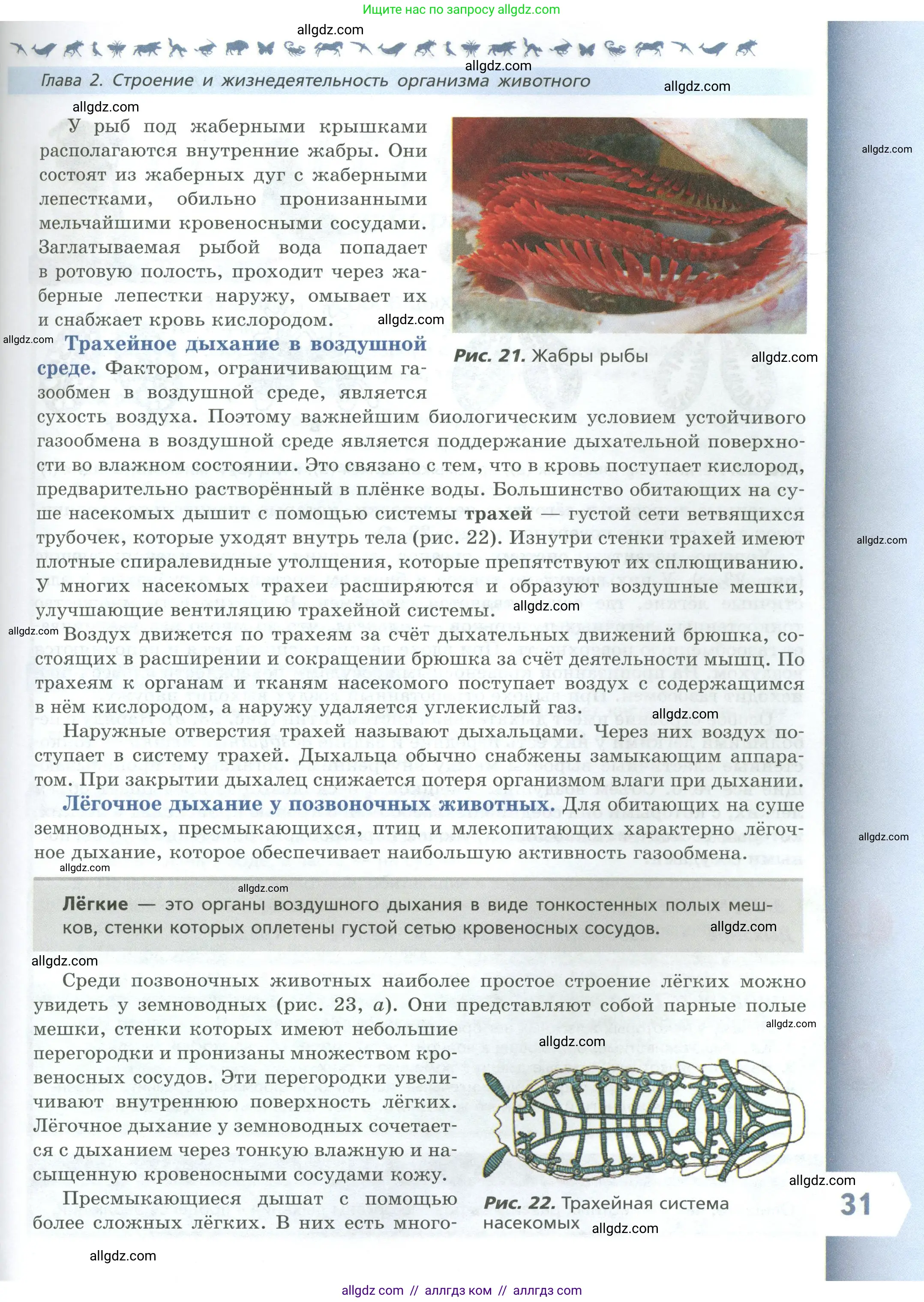 Биология, 8 класс Учебник, авторы: Пасечник Владимир Васильевич, Суматохин Сергей Витальевич, Гапонюк Зоя Георгиевна, издательство Просвещение, Москва, 2023, белого цвета, страница 31