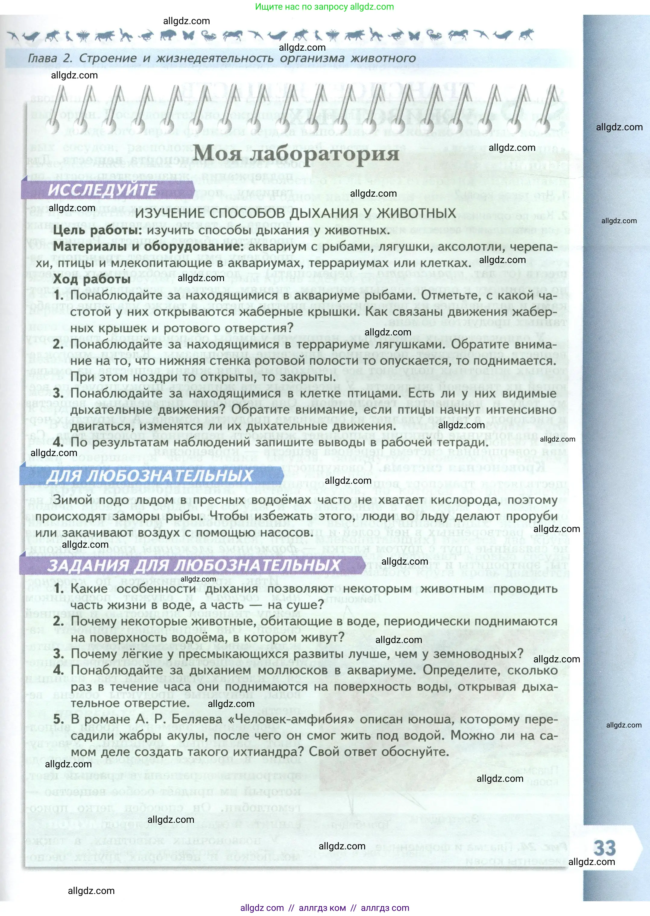 Биология, 8 класс Учебник, авторы: Пасечник Владимир Васильевич, Суматохин Сергей Витальевич, Гапонюк Зоя Георгиевна, издательство Просвещение, Москва, 2023, белого цвета, страница 33