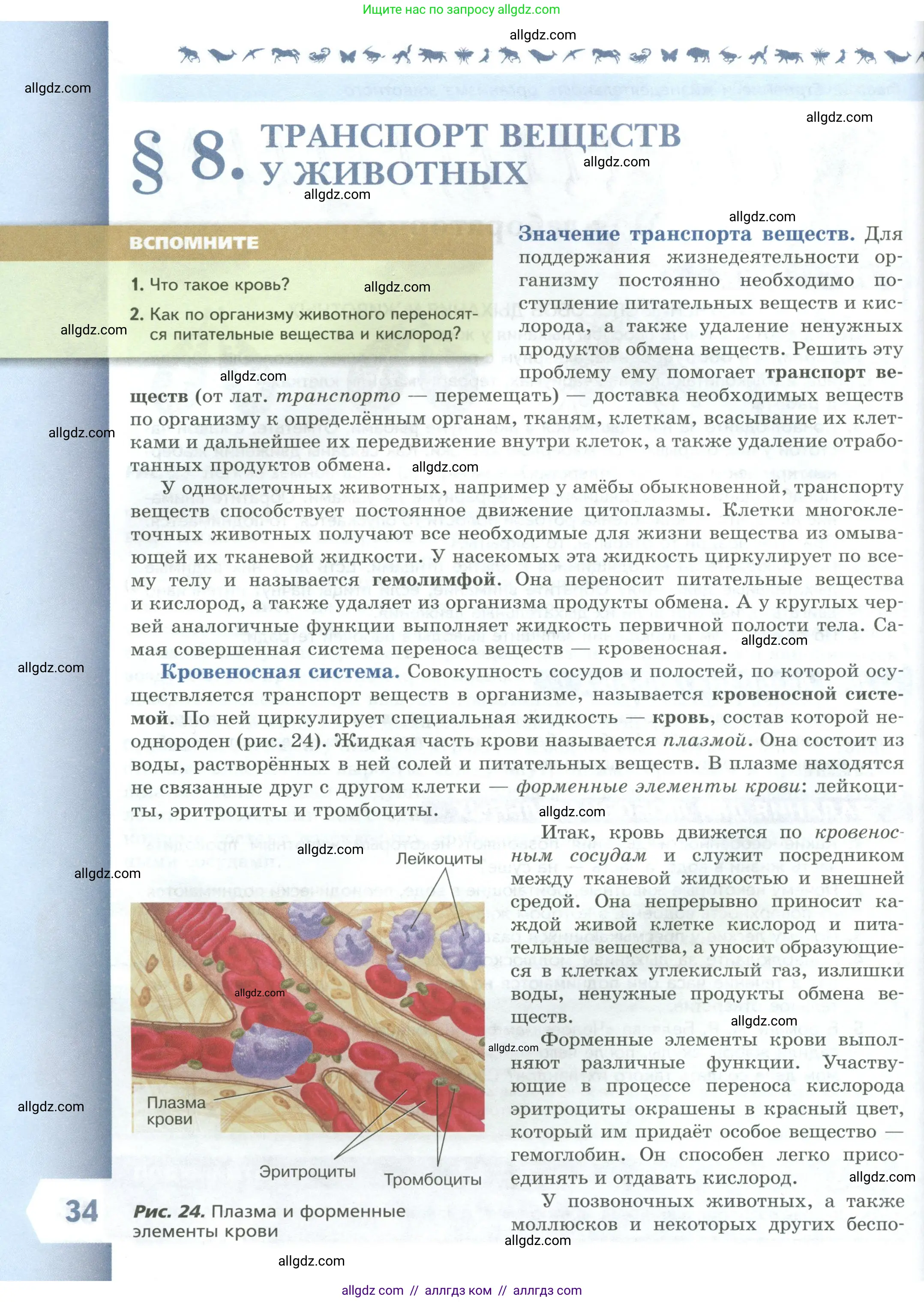 Биология, 8 класс Учебник, авторы: Пасечник Владимир Васильевич, Суматохин Сергей Витальевич, Гапонюк Зоя Георгиевна, издательство Просвещение, Москва, 2023, белого цвета, страница 34
