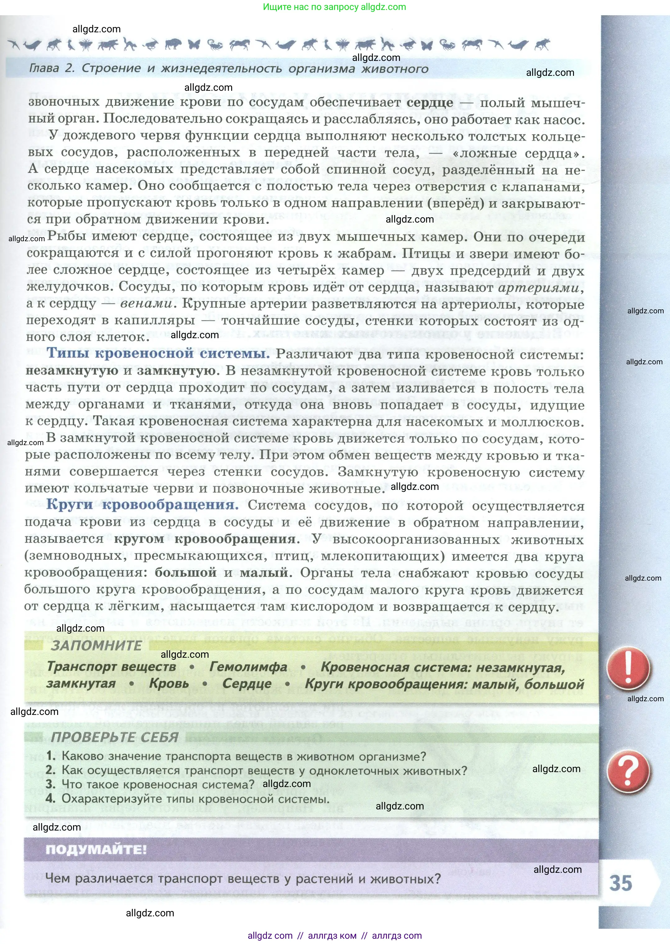 Биология, 8 класс Учебник, авторы: Пасечник Владимир Васильевич, Суматохин Сергей Витальевич, Гапонюк Зоя Георгиевна, издательство Просвещение, Москва, 2023, белого цвета, страница 35
