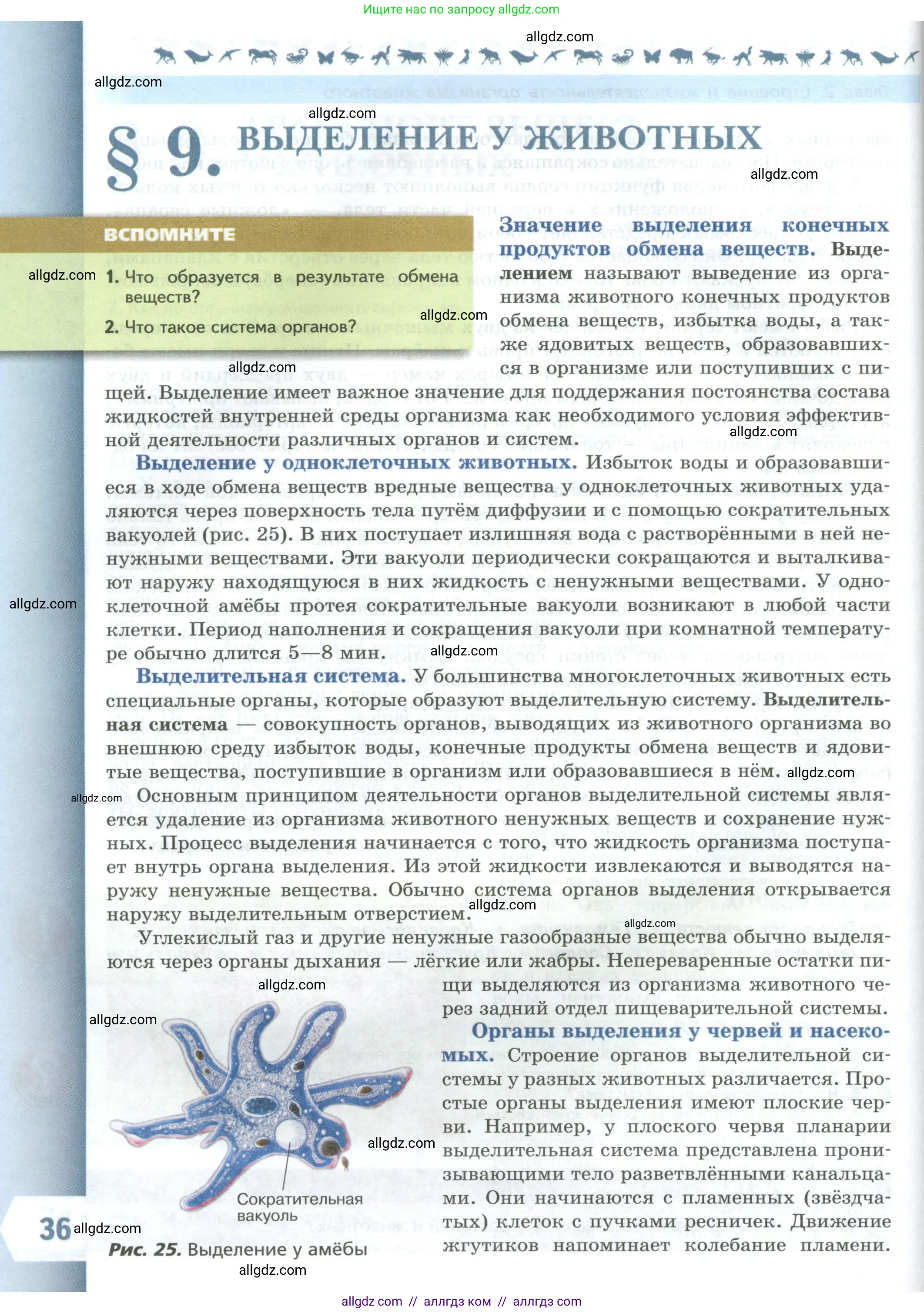 Биология, 8 класс Учебник, авторы: Пасечник Владимир Васильевич, Суматохин Сергей Витальевич, Гапонюк Зоя Георгиевна, издательство Просвещение, Москва, 2023, белого цвета, страница 36