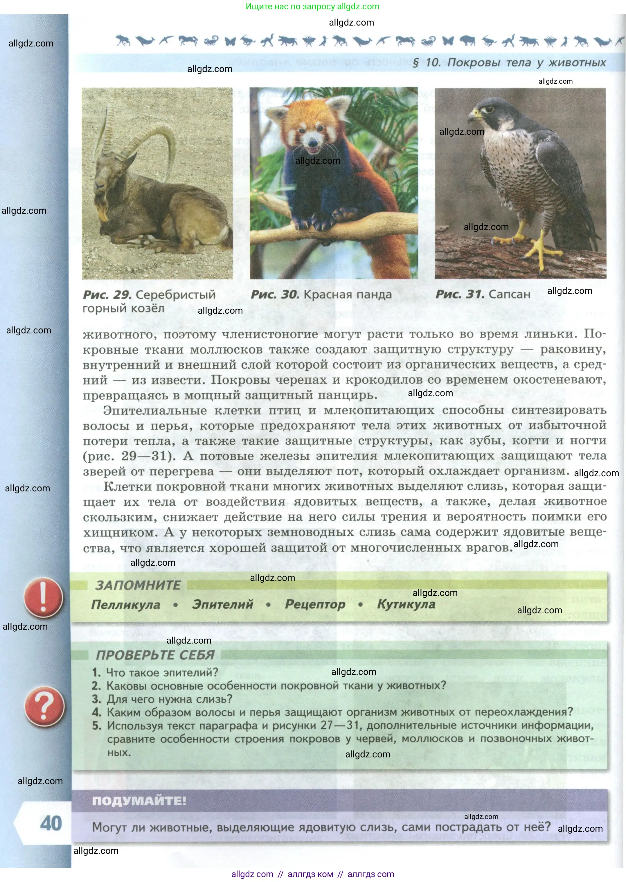 Биология, 8 класс Учебник, авторы: Пасечник Владимир Васильевич, Суматохин Сергей Витальевич, Гапонюк Зоя Георгиевна, издательство Просвещение, Москва, 2023, белого цвета, страница 40