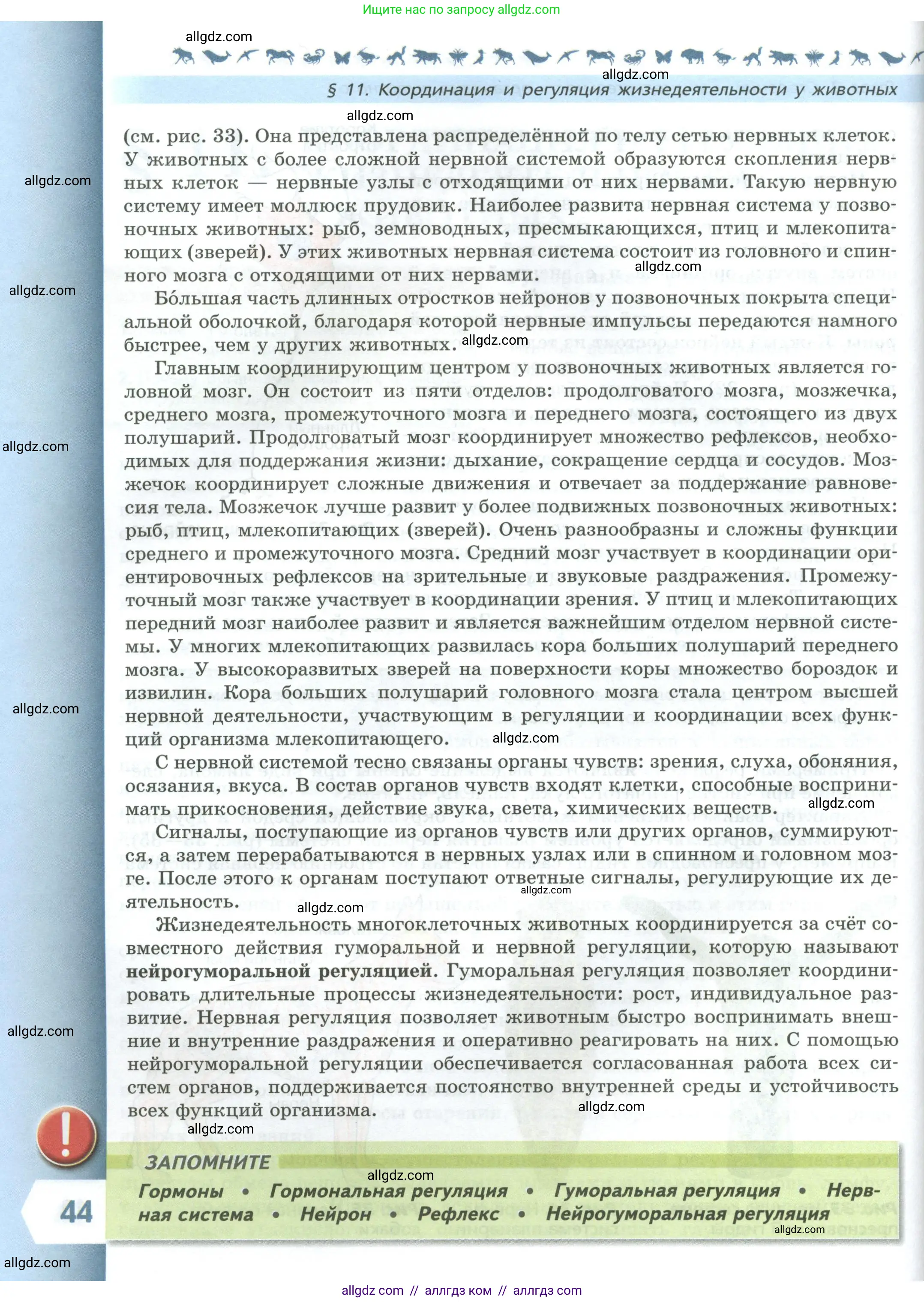 Биология, 8 класс Учебник, авторы: Пасечник Владимир Васильевич, Суматохин Сергей Витальевич, Гапонюк Зоя Георгиевна, издательство Просвещение, Москва, 2023, белого цвета, страница 44