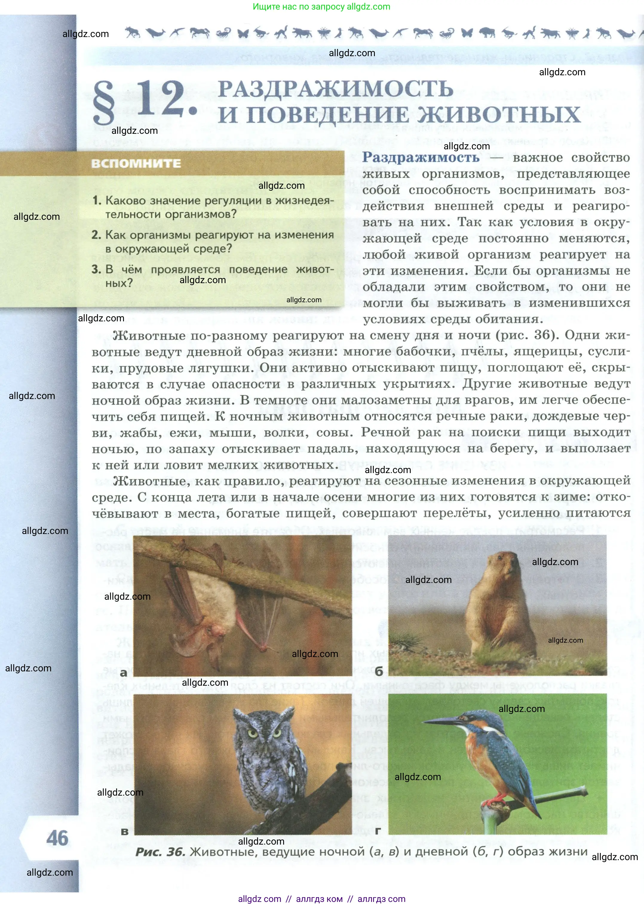 Биология, 8 класс Учебник, авторы: Пасечник Владимир Васильевич, Суматохин Сергей Витальевич, Гапонюк Зоя Георгиевна, издательство Просвещение, Москва, 2023, белого цвета, страница 46