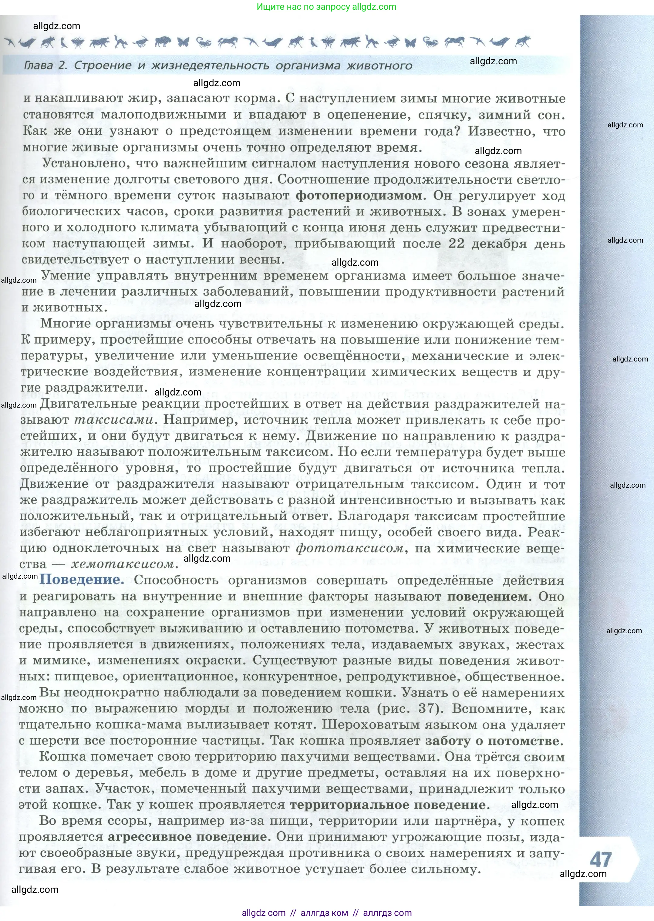 Биология, 8 класс Учебник, авторы: Пасечник Владимир Васильевич, Суматохин Сергей Витальевич, Гапонюк Зоя Георгиевна, издательство Просвещение, Москва, 2023, белого цвета, страница 47