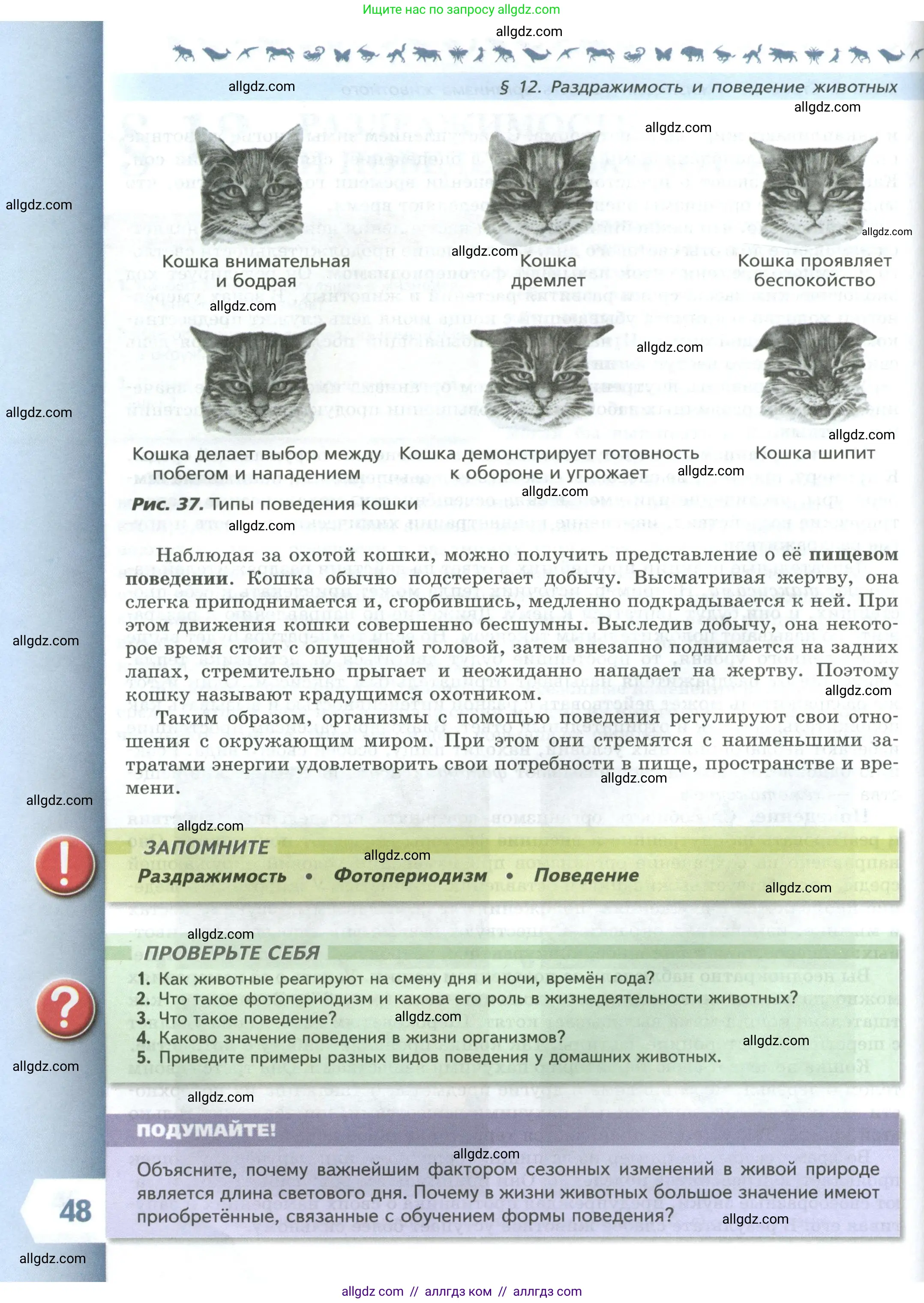 Биология, 8 класс Учебник, авторы: Пасечник Владимир Васильевич, Суматохин Сергей Витальевич, Гапонюк Зоя Георгиевна, издательство Просвещение, Москва, 2023, белого цвета, страница 48