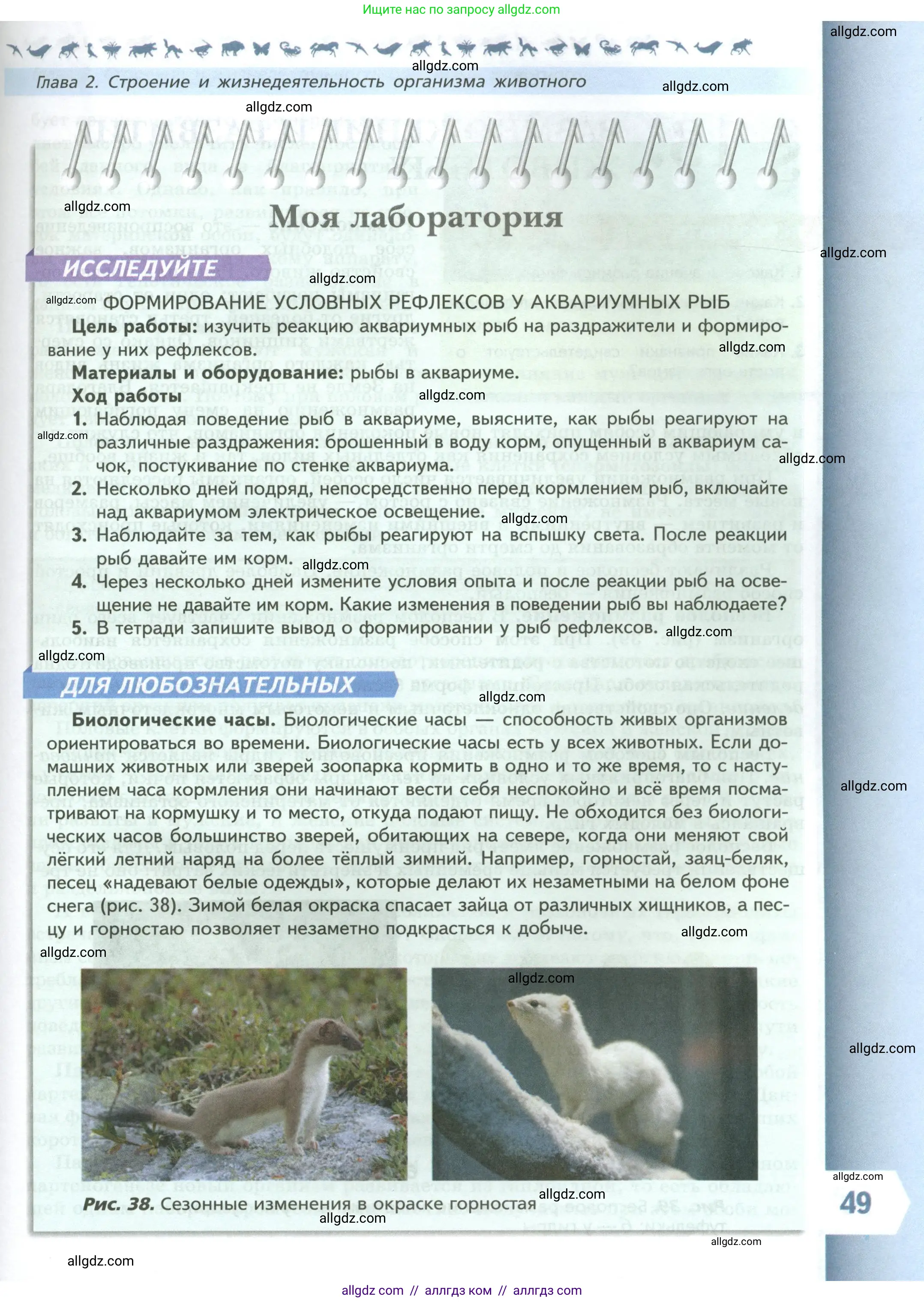 Биология, 8 класс Учебник, авторы: Пасечник Владимир Васильевич, Суматохин Сергей Витальевич, Гапонюк Зоя Георгиевна, издательство Просвещение, Москва, 2023, белого цвета, страница 49