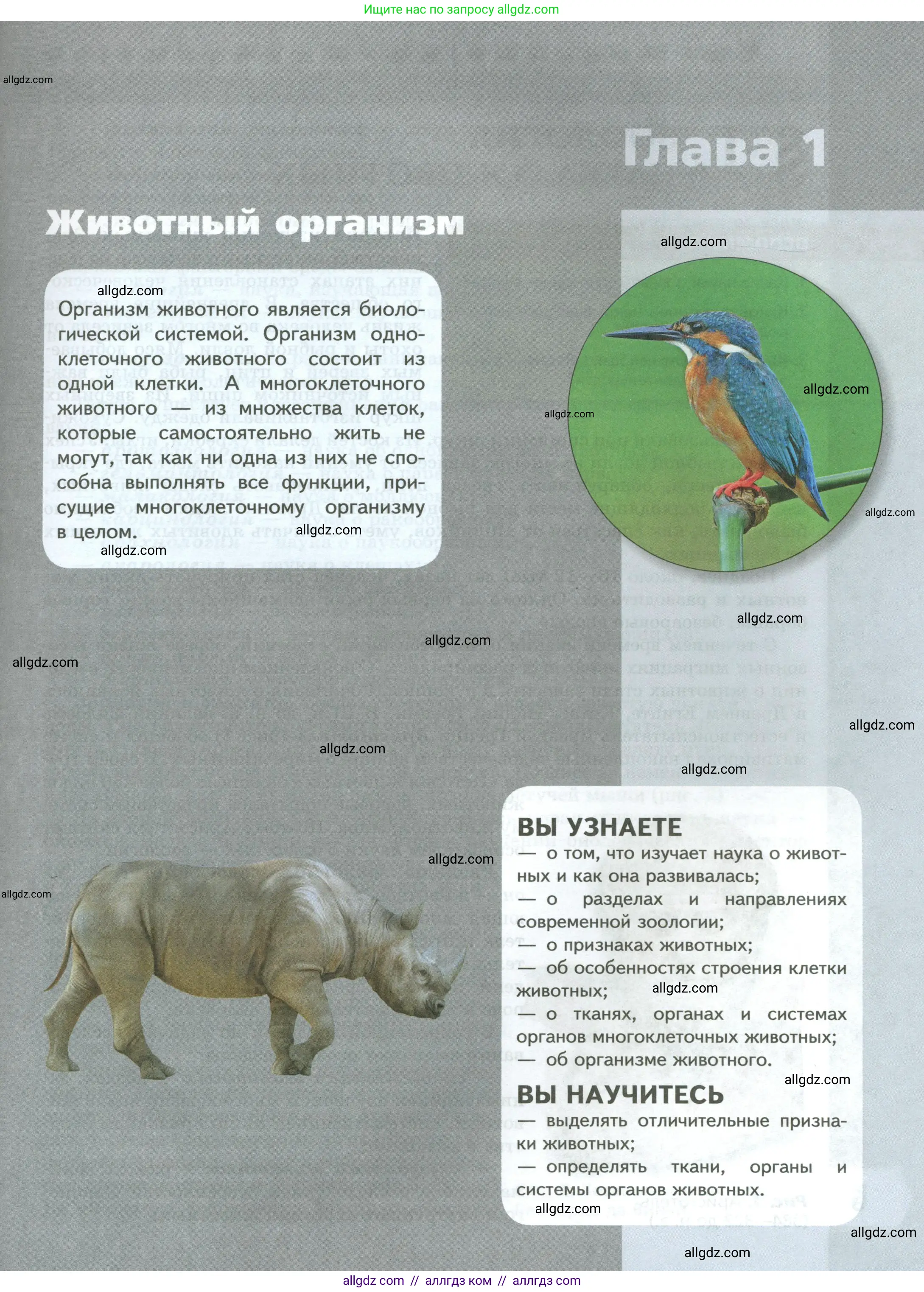 Биология, 8 класс Учебник, авторы: Пасечник Владимир Васильевич, Суматохин Сергей Витальевич, Гапонюк Зоя Георгиевна, издательство Просвещение, Москва, 2023, белого цвета, страница 5