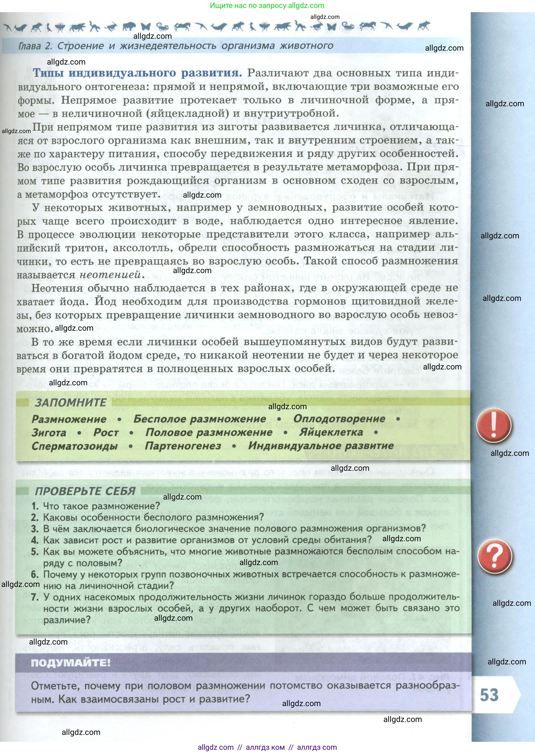 Биология, 8 класс Учебник, авторы: Пасечник Владимир Васильевич, Суматохин Сергей Витальевич, Гапонюк Зоя Георгиевна, издательство Просвещение, Москва, 2023, белого цвета, страница 53