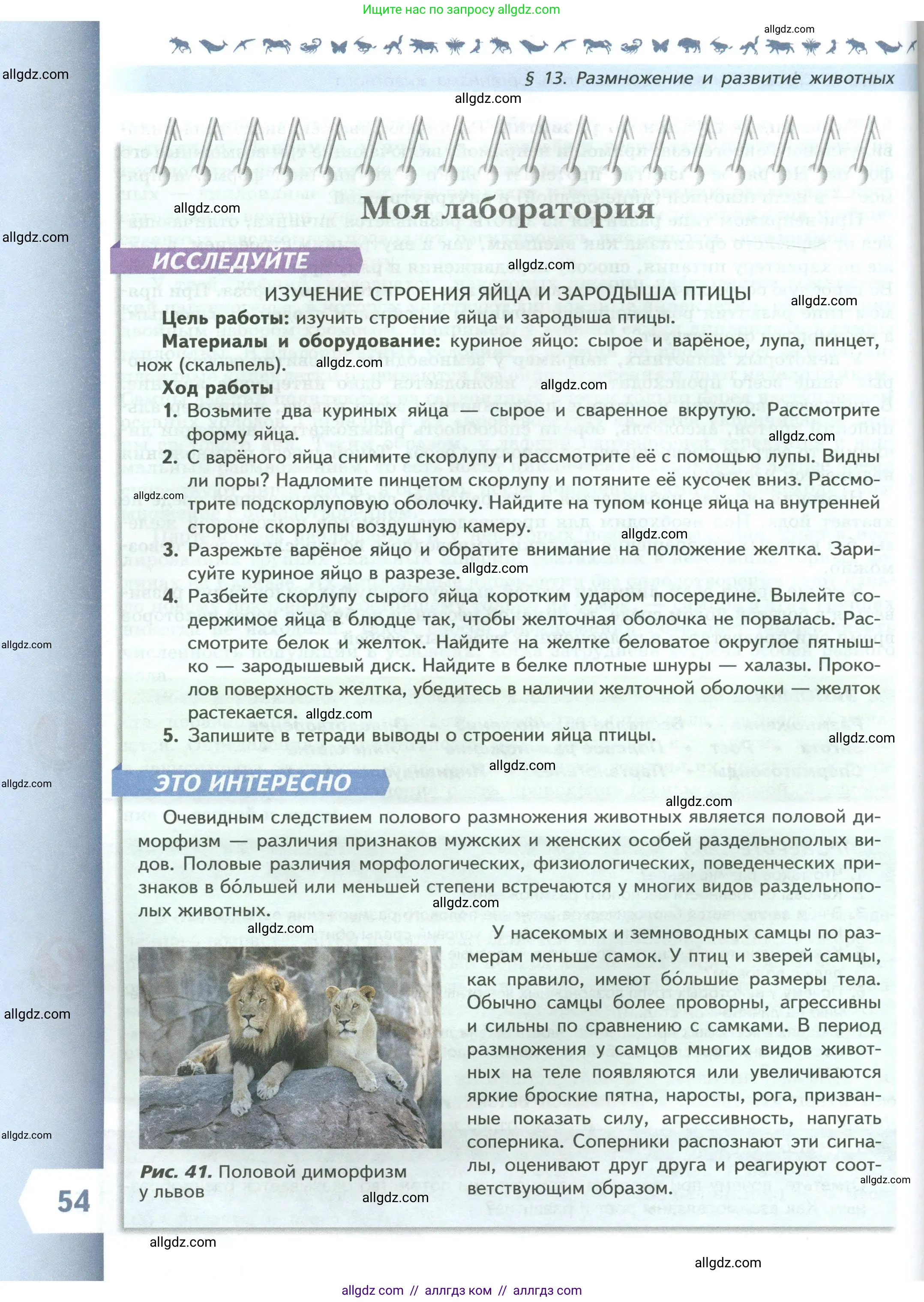 Биология, 8 класс Учебник, авторы: Пасечник Владимир Васильевич, Суматохин Сергей Витальевич, Гапонюк Зоя Георгиевна, издательство Просвещение, Москва, 2023, белого цвета, страница 54