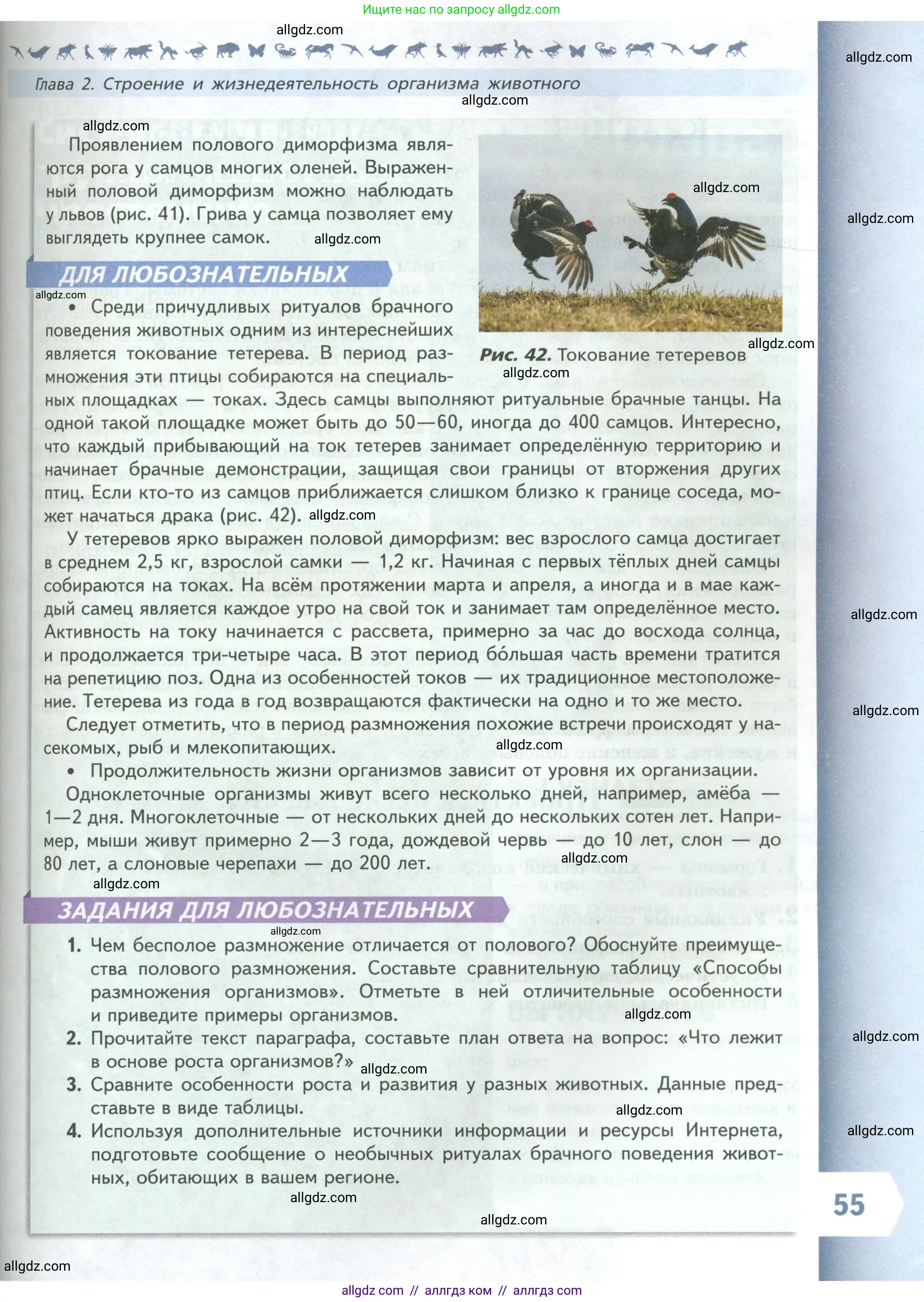 Биология, 8 класс Учебник, авторы: Пасечник Владимир Васильевич, Суматохин Сергей Витальевич, Гапонюк Зоя Георгиевна, издательство Просвещение, Москва, 2023, белого цвета, страница 55