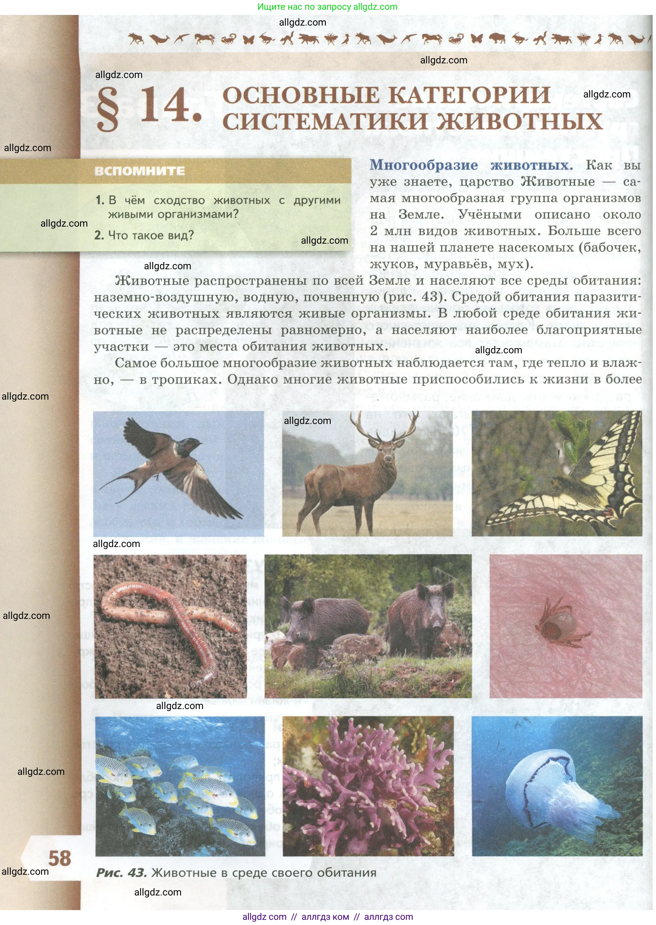 Биология, 8 класс Учебник, авторы: Пасечник Владимир Васильевич, Суматохин Сергей Витальевич, Гапонюк Зоя Георгиевна, издательство Просвещение, Москва, 2023, белого цвета, страница 58