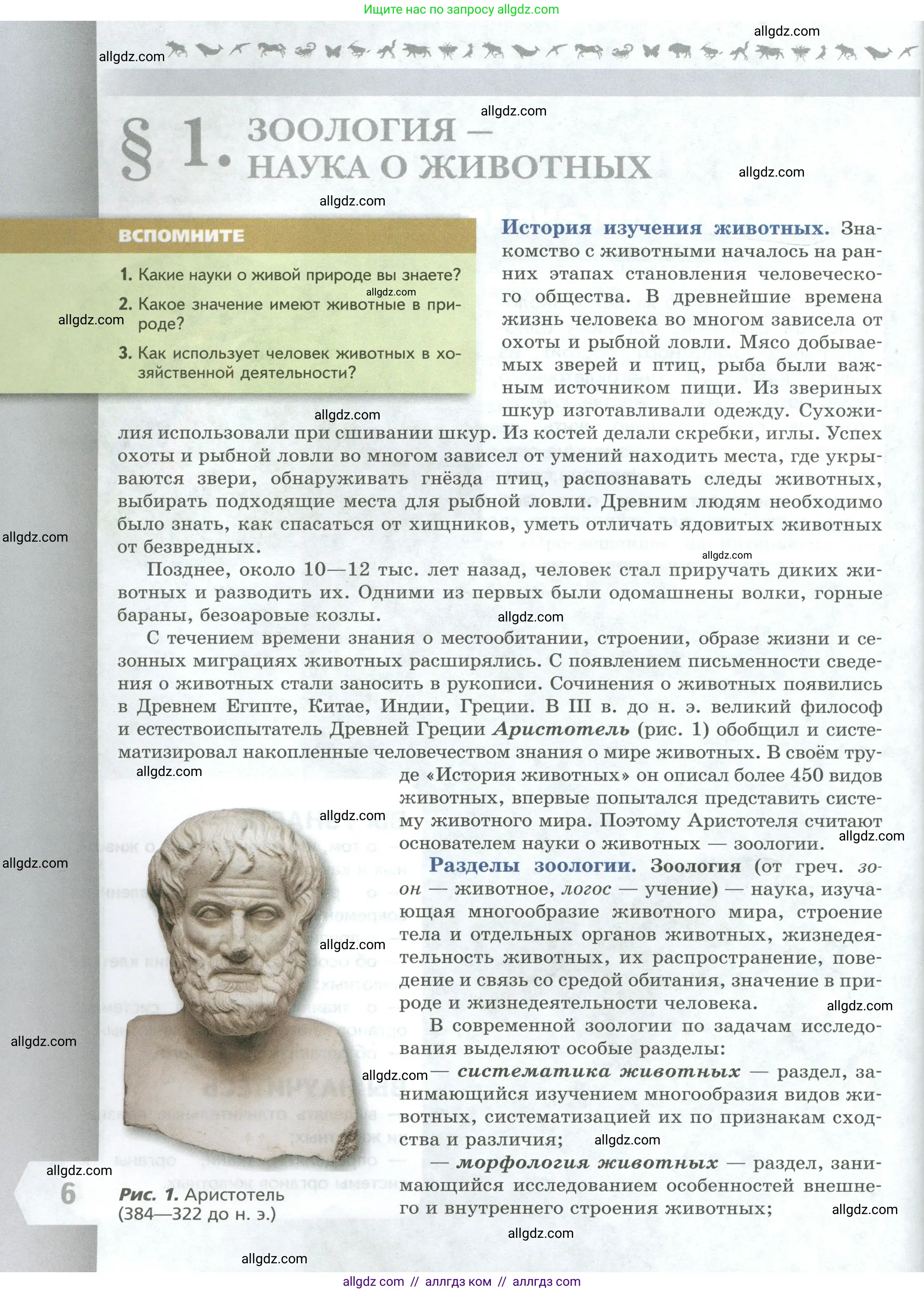 Биология, 8 класс Учебник, авторы: Пасечник Владимир Васильевич, Суматохин Сергей Витальевич, Гапонюк Зоя Георгиевна, издательство Просвещение, Москва, 2023, белого цвета, страница 6