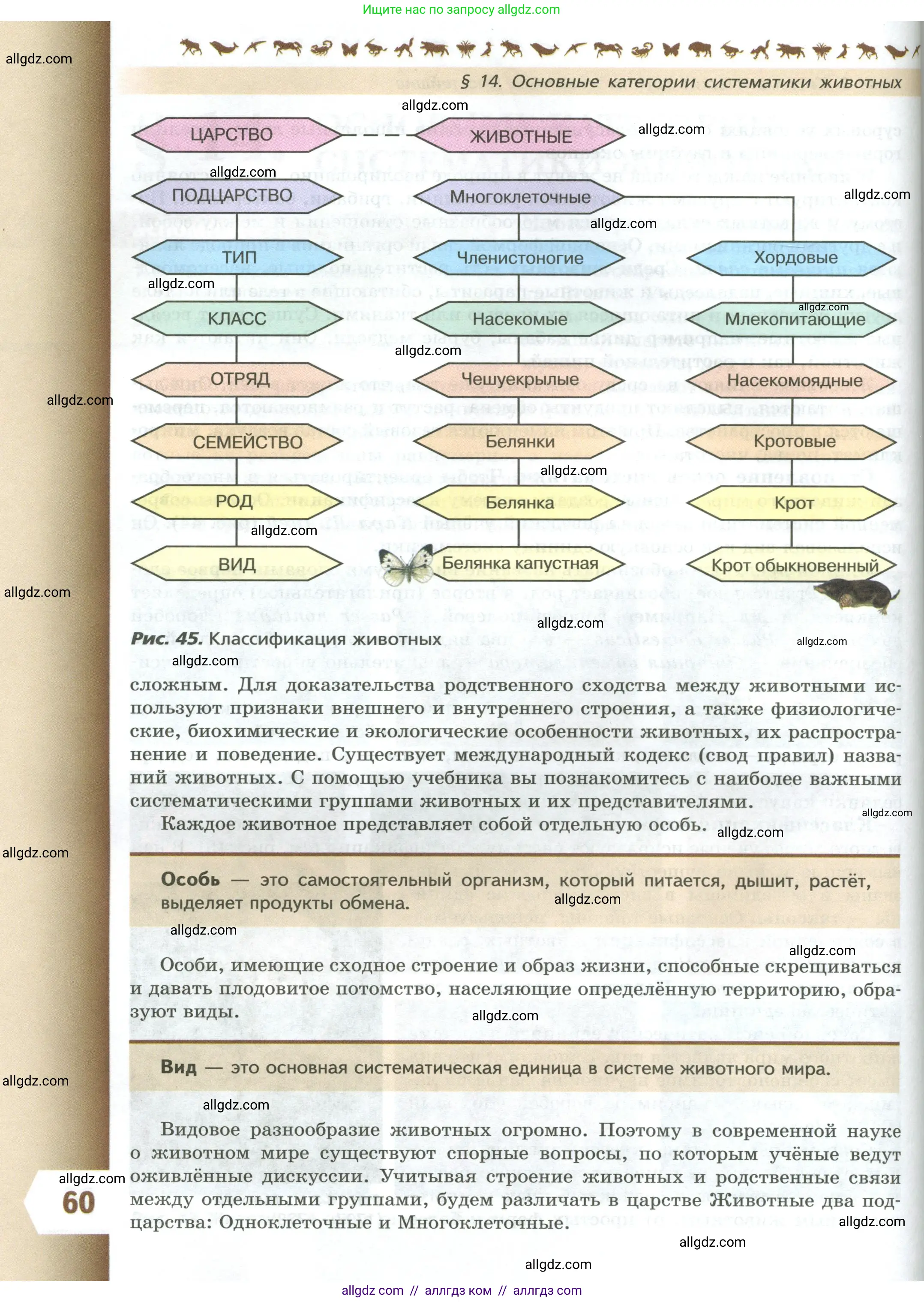 Биология, 8 класс Учебник, авторы: Пасечник Владимир Васильевич, Суматохин Сергей Витальевич, Гапонюк Зоя Георгиевна, издательство Просвещение, Москва, 2023, белого цвета, страница 60