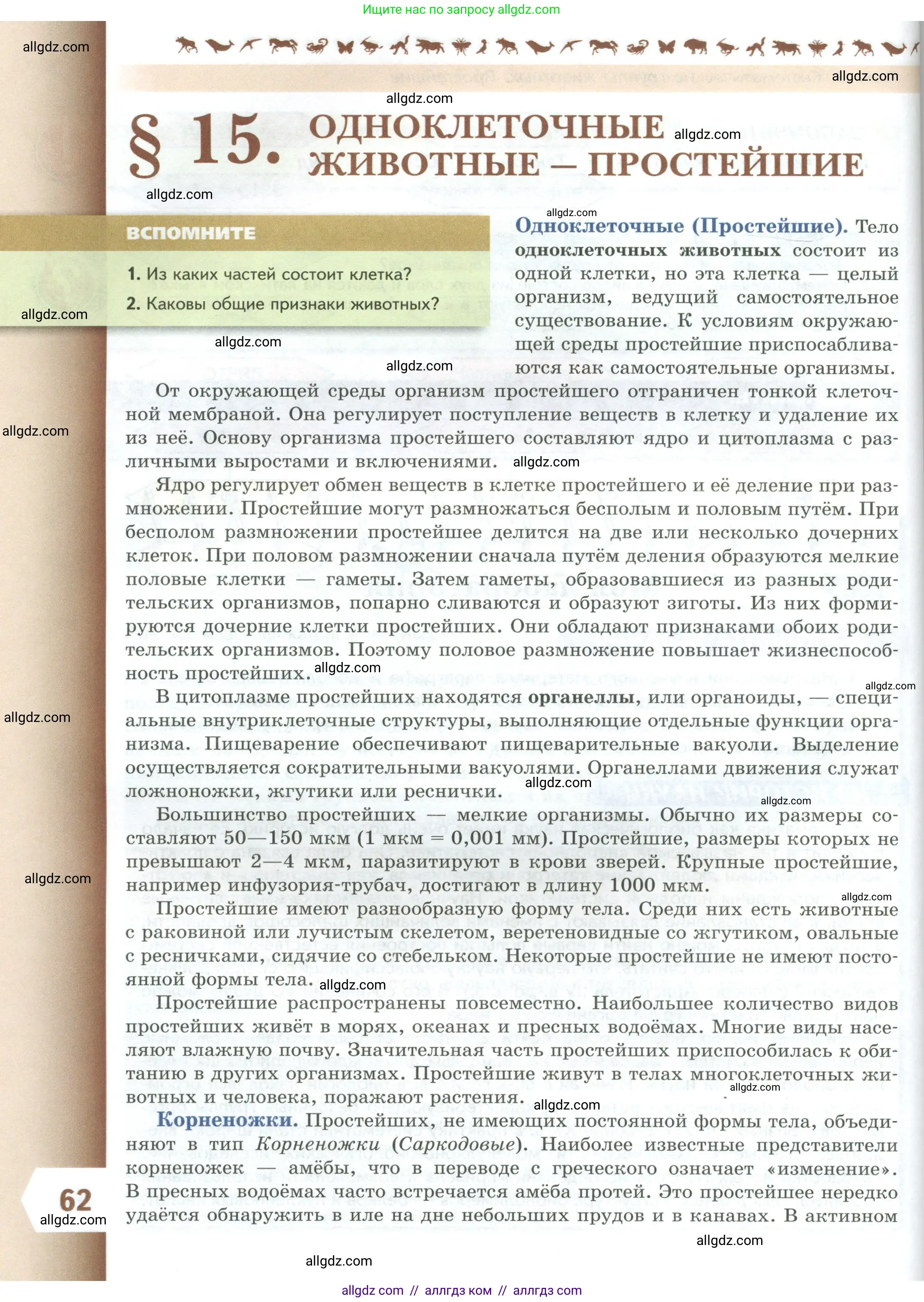 Биология, 8 класс Учебник, авторы: Пасечник Владимир Васильевич, Суматохин Сергей Витальевич, Гапонюк Зоя Георгиевна, издательство Просвещение, Москва, 2023, белого цвета, страница 62