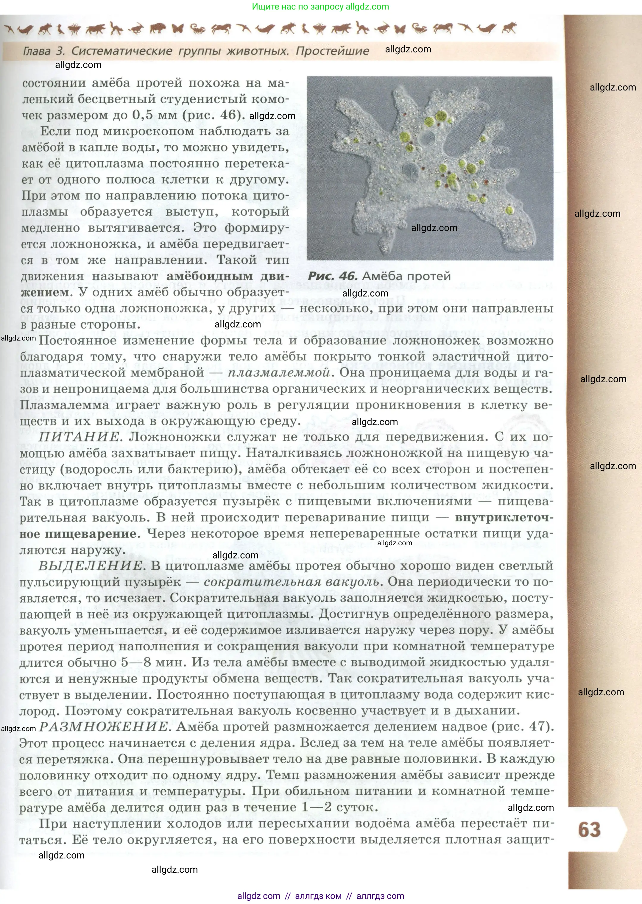 Биология, 8 класс Учебник, авторы: Пасечник Владимир Васильевич, Суматохин Сергей Витальевич, Гапонюк Зоя Георгиевна, издательство Просвещение, Москва, 2023, белого цвета, страница 63
