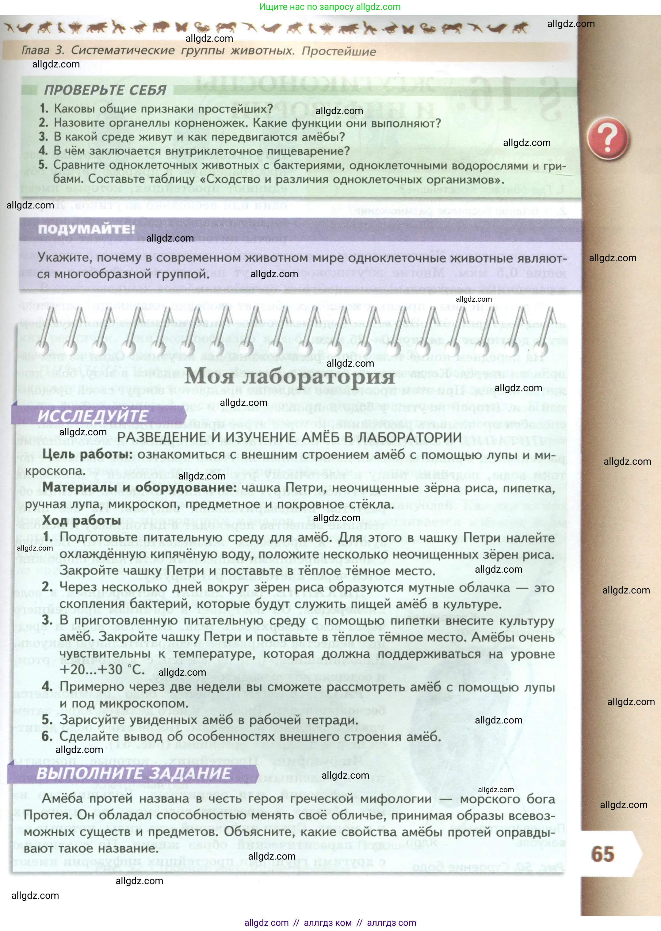 Биология, 8 класс Учебник, авторы: Пасечник Владимир Васильевич, Суматохин Сергей Витальевич, Гапонюк Зоя Георгиевна, издательство Просвещение, Москва, 2023, белого цвета, страница 65