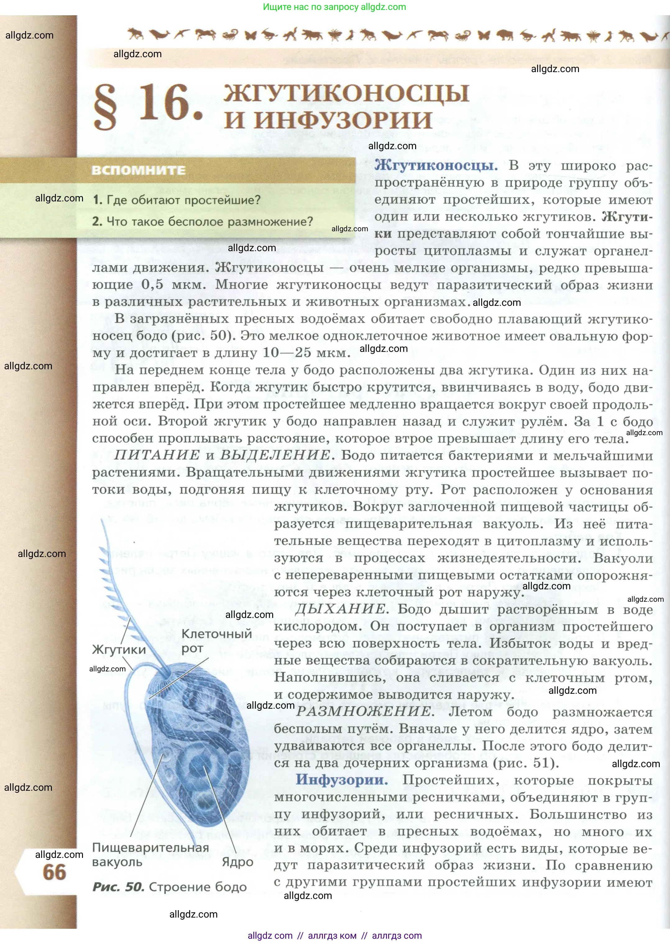 Биология, 8 класс Учебник, авторы: Пасечник Владимир Васильевич, Суматохин Сергей Витальевич, Гапонюк Зоя Георгиевна, издательство Просвещение, Москва, 2023, белого цвета, страница 66