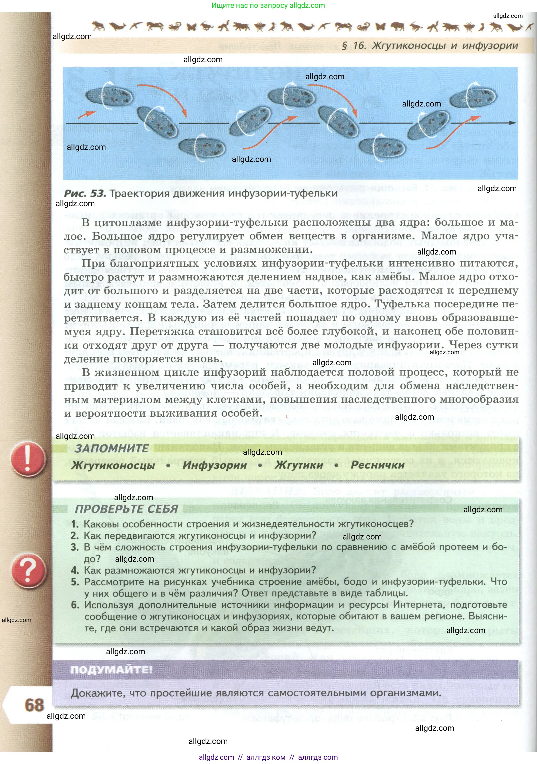 Биология, 8 класс Учебник, авторы: Пасечник Владимир Васильевич, Суматохин Сергей Витальевич, Гапонюк Зоя Георгиевна, издательство Просвещение, Москва, 2023, белого цвета, страница 68