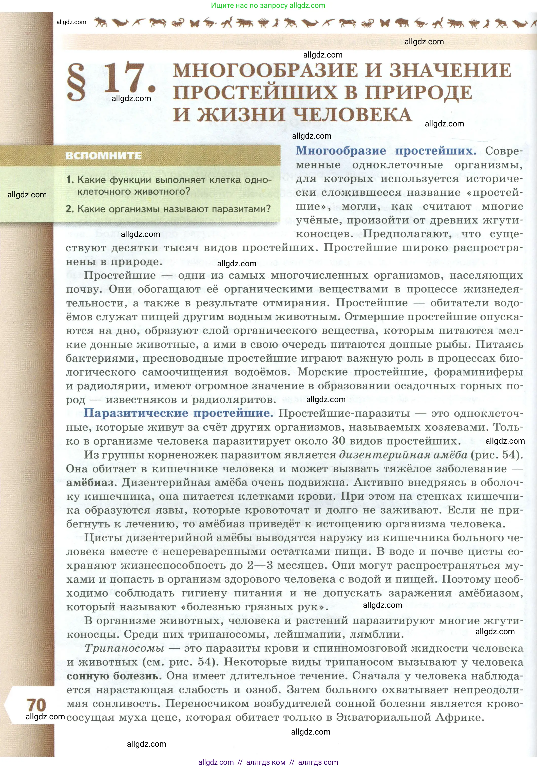 Биология, 8 класс Учебник, авторы: Пасечник Владимир Васильевич, Суматохин Сергей Витальевич, Гапонюк Зоя Георгиевна, издательство Просвещение, Москва, 2023, белого цвета, страница 70