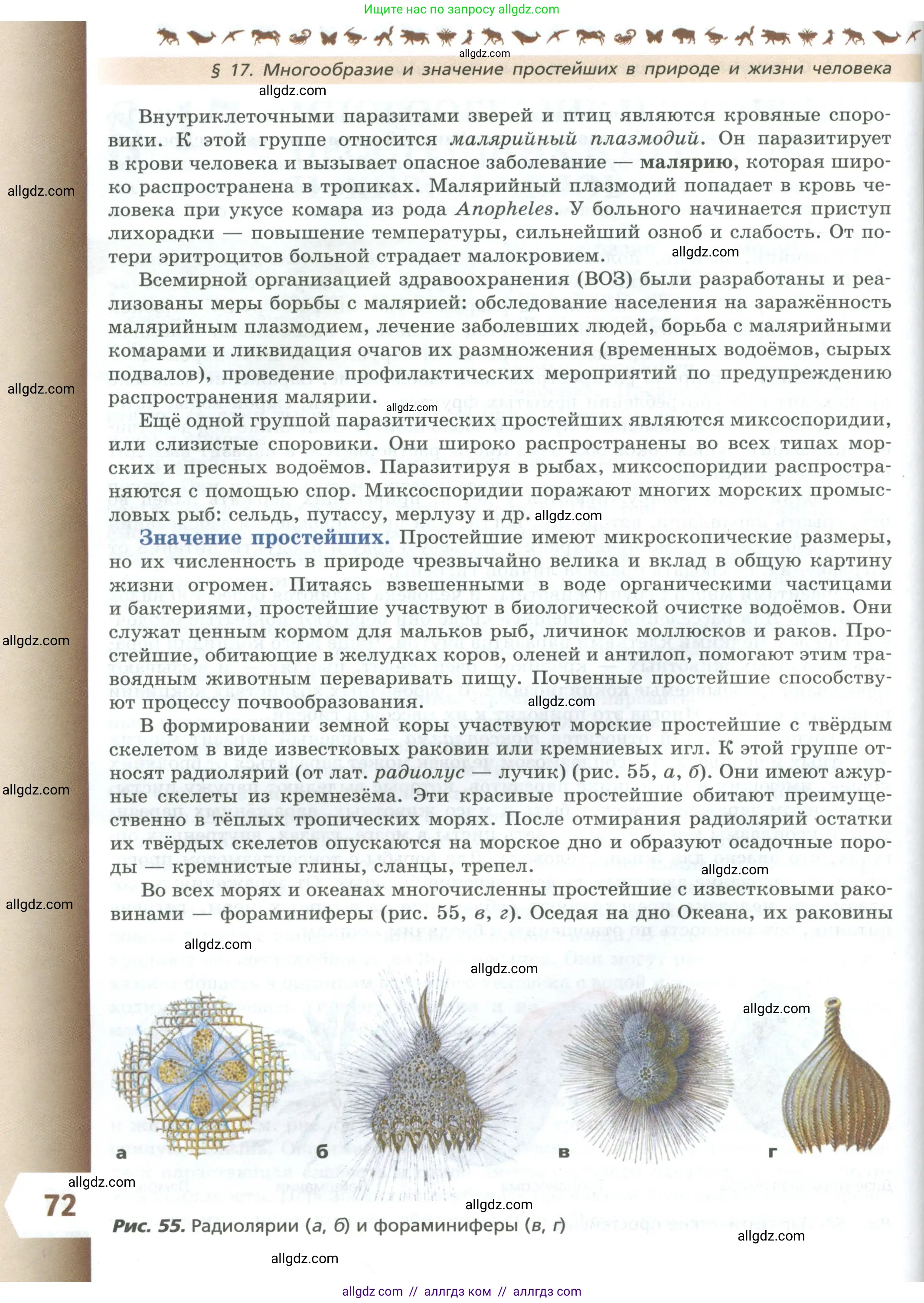 Биология, 8 класс Учебник, авторы: Пасечник Владимир Васильевич, Суматохин Сергей Витальевич, Гапонюк Зоя Георгиевна, издательство Просвещение, Москва, 2023, белого цвета, страница 72