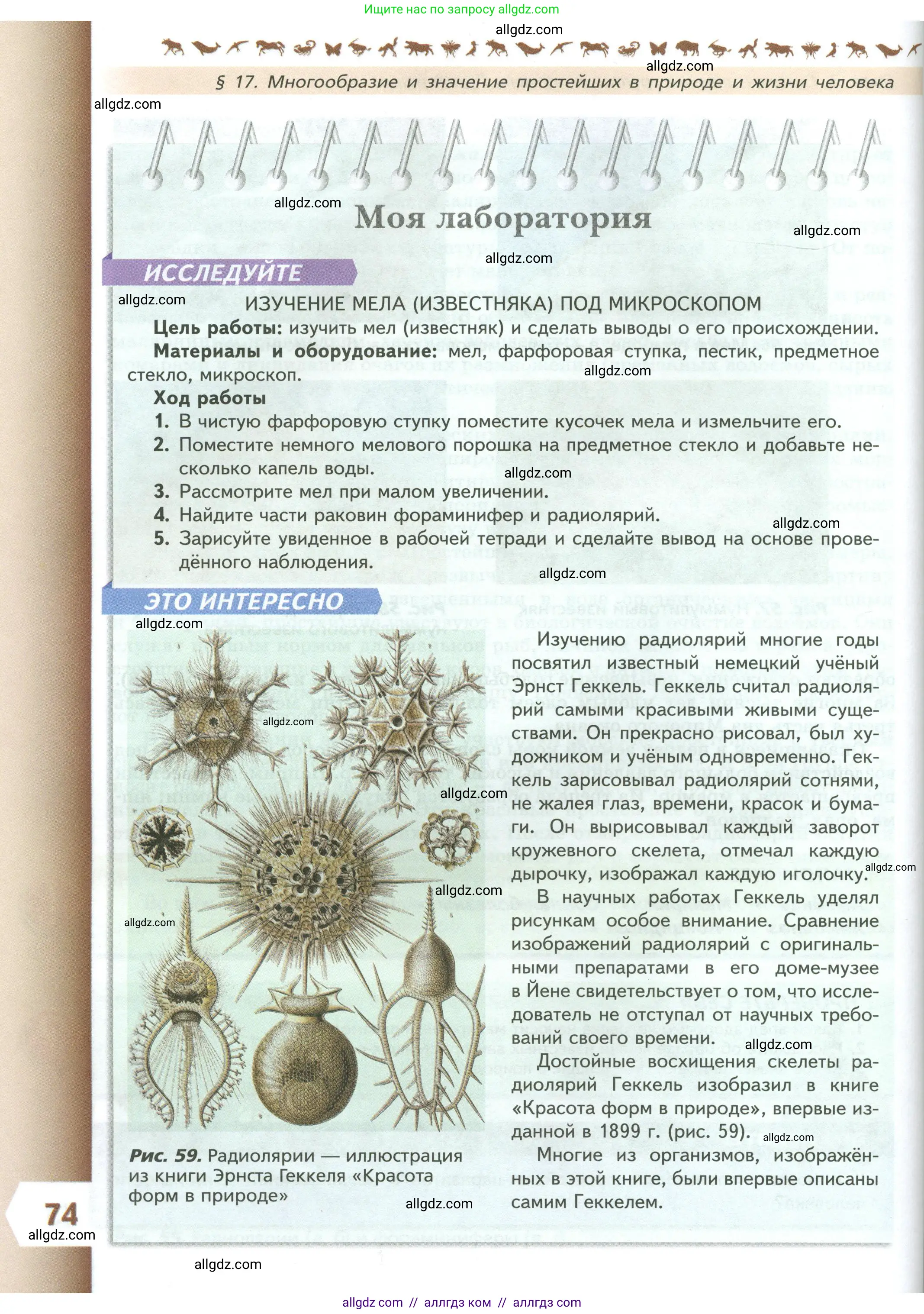 Биология, 8 класс Учебник, авторы: Пасечник Владимир Васильевич, Суматохин Сергей Витальевич, Гапонюк Зоя Георгиевна, издательство Просвещение, Москва, 2023, белого цвета, страница 74