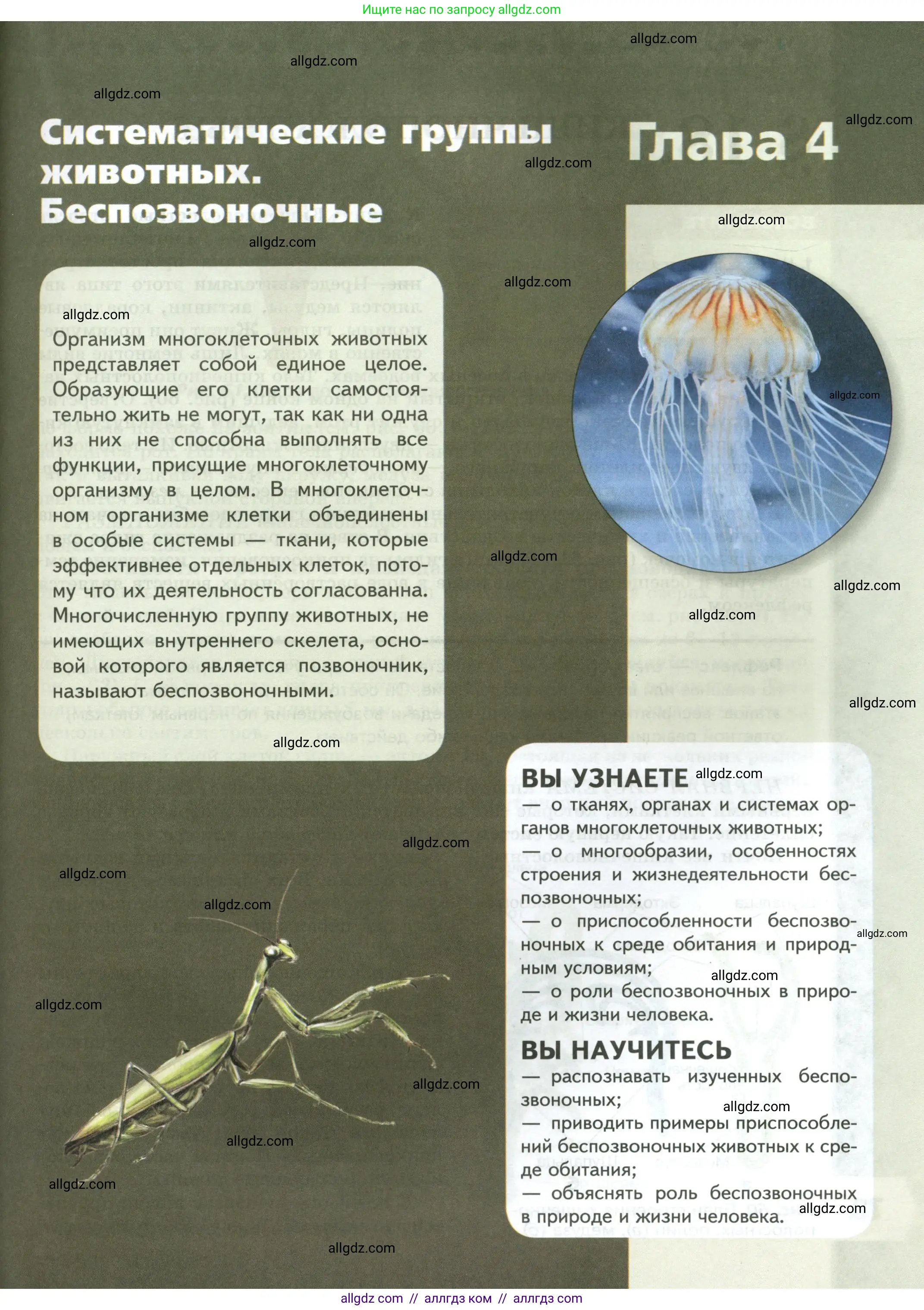 Биология, 8 класс Учебник, авторы: Пасечник Владимир Васильевич, Суматохин Сергей Витальевич, Гапонюк Зоя Георгиевна, издательство Просвещение, Москва, 2023, белого цвета, страница 77