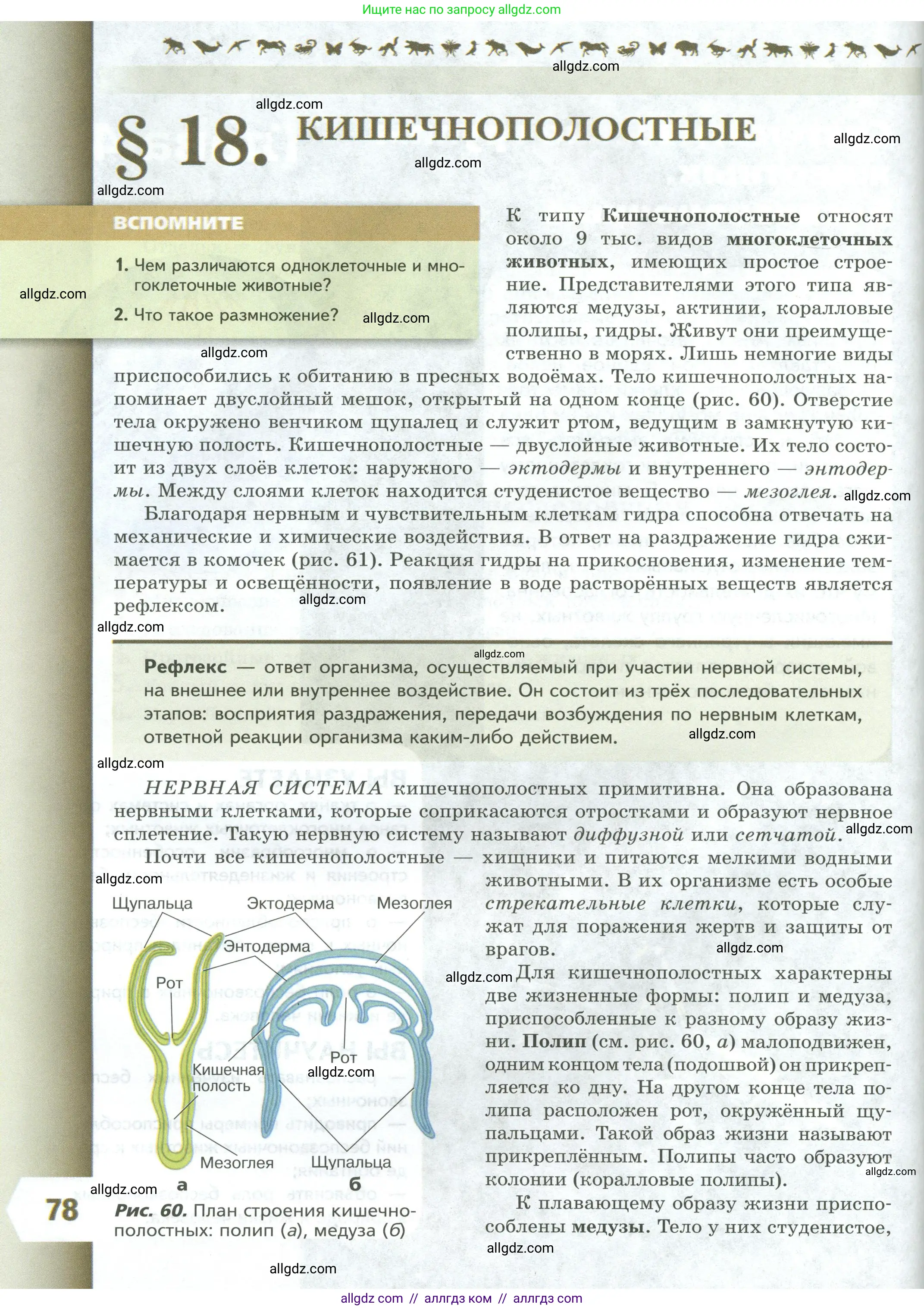 Биология, 8 класс Учебник, авторы: Пасечник Владимир Васильевич, Суматохин Сергей Витальевич, Гапонюк Зоя Георгиевна, издательство Просвещение, Москва, 2023, белого цвета, страница 78
