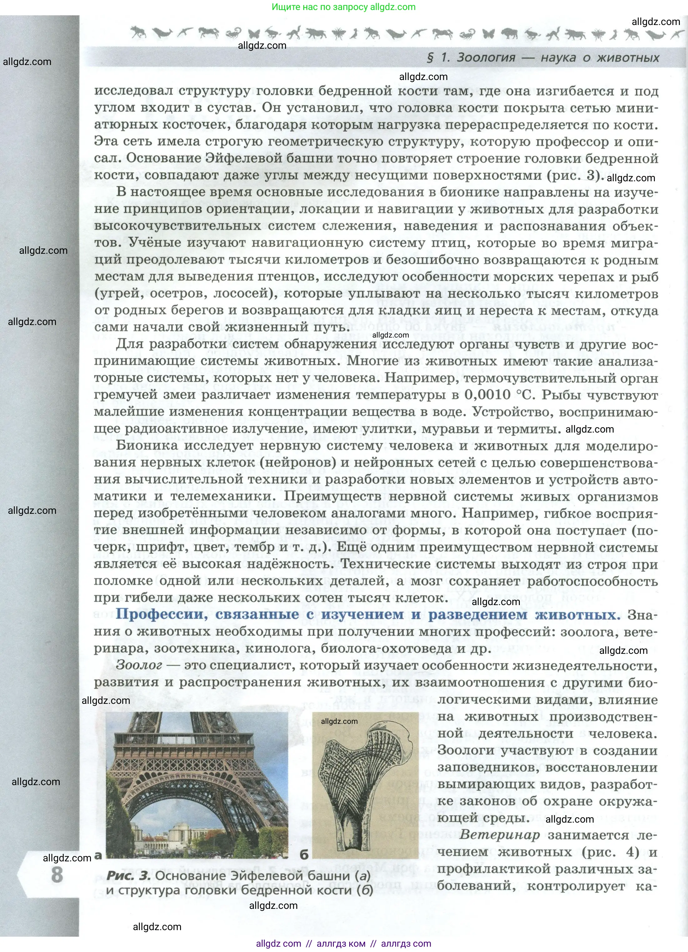 Биология, 8 класс Учебник, авторы: Пасечник Владимир Васильевич, Суматохин Сергей Витальевич, Гапонюк Зоя Георгиевна, издательство Просвещение, Москва, 2023, белого цвета, страница 8