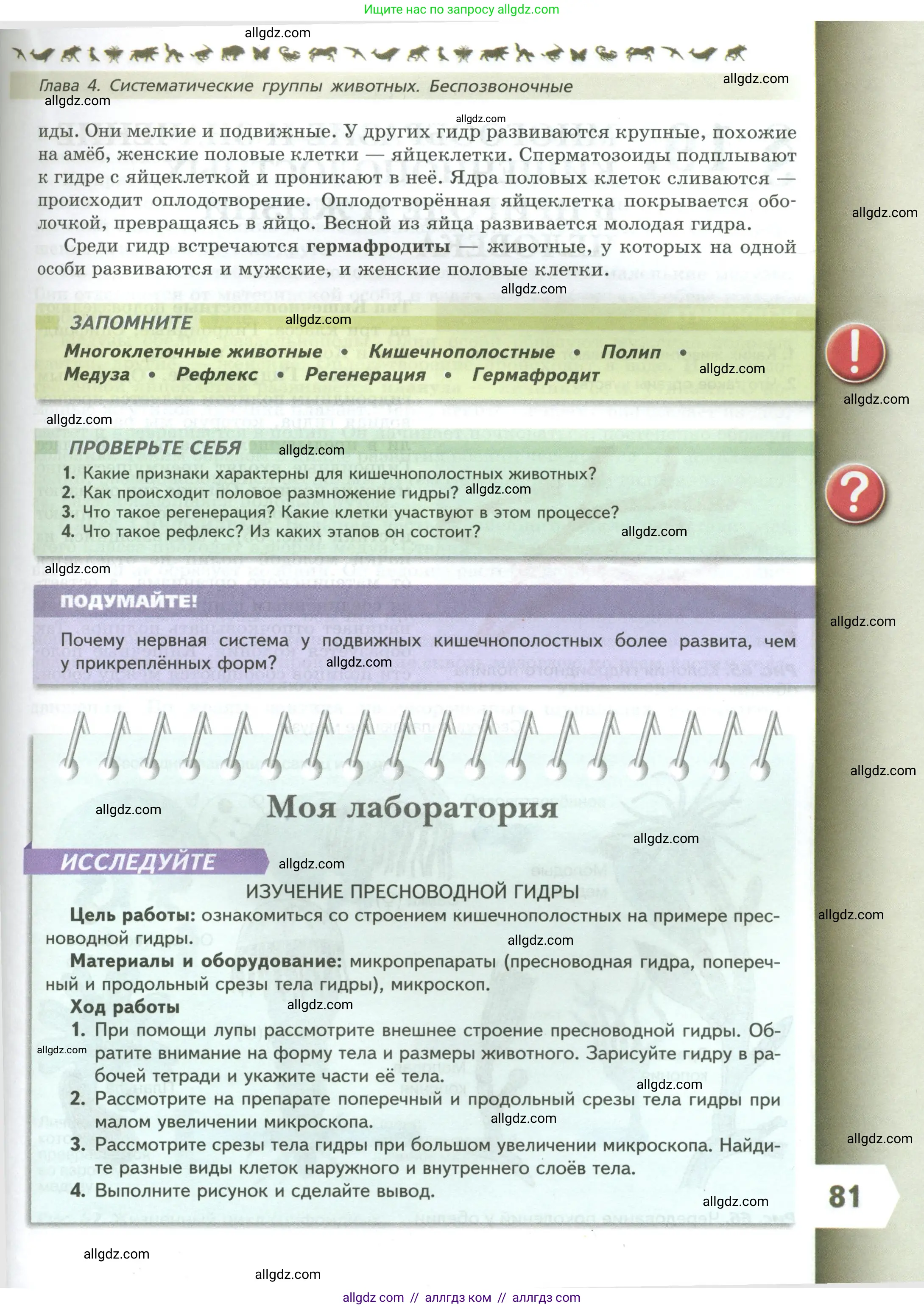 Биология, 8 класс Учебник, авторы: Пасечник Владимир Васильевич, Суматохин Сергей Витальевич, Гапонюк Зоя Георгиевна, издательство Просвещение, Москва, 2023, белого цвета, страница 81