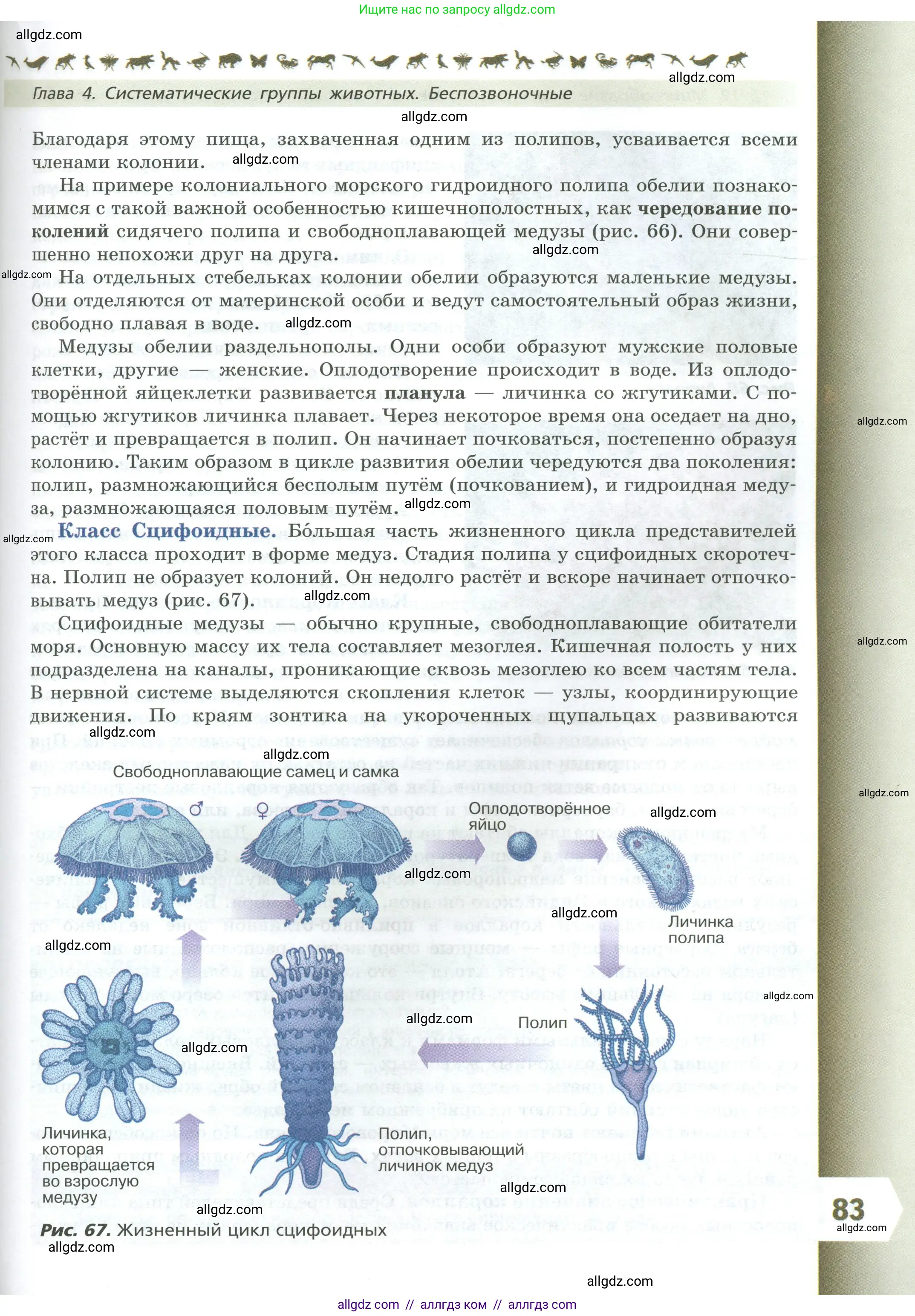 Биология, 8 класс Учебник, авторы: Пасечник Владимир Васильевич, Суматохин Сергей Витальевич, Гапонюк Зоя Георгиевна, издательство Просвещение, Москва, 2023, белого цвета, страница 83