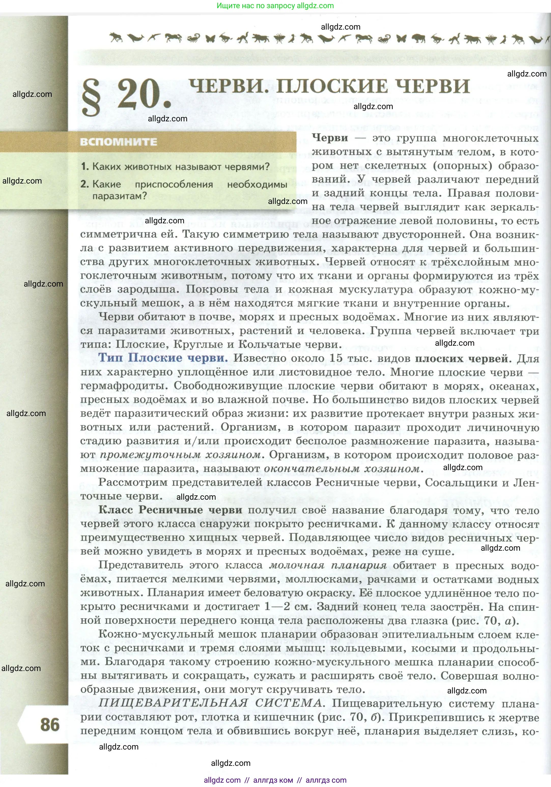 Биология, 8 класс Учебник, авторы: Пасечник Владимир Васильевич, Суматохин Сергей Витальевич, Гапонюк Зоя Георгиевна, издательство Просвещение, Москва, 2023, белого цвета, страница 86