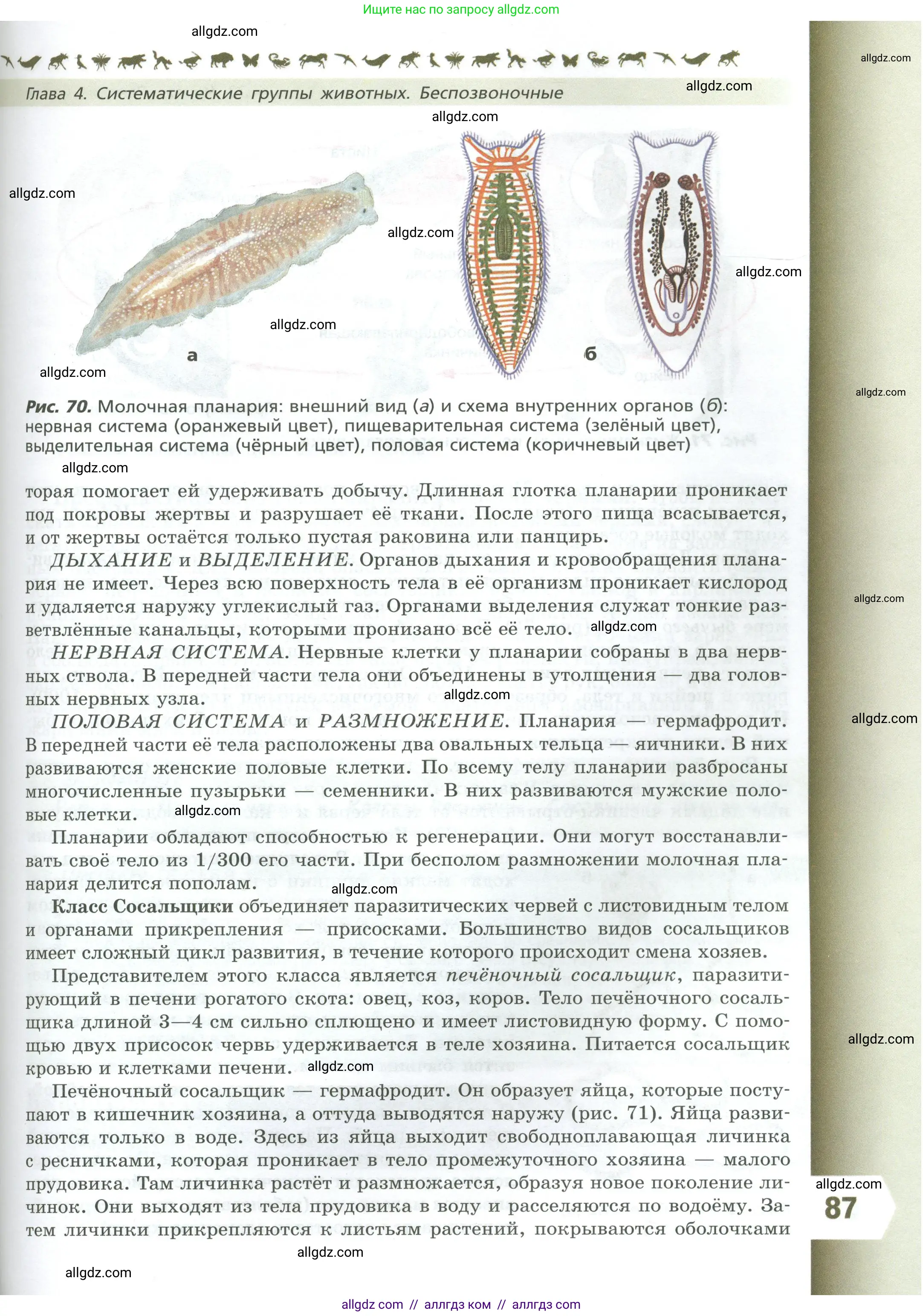 Биология, 8 класс Учебник, авторы: Пасечник Владимир Васильевич, Суматохин Сергей Витальевич, Гапонюк Зоя Георгиевна, издательство Просвещение, Москва, 2023, белого цвета, страница 87