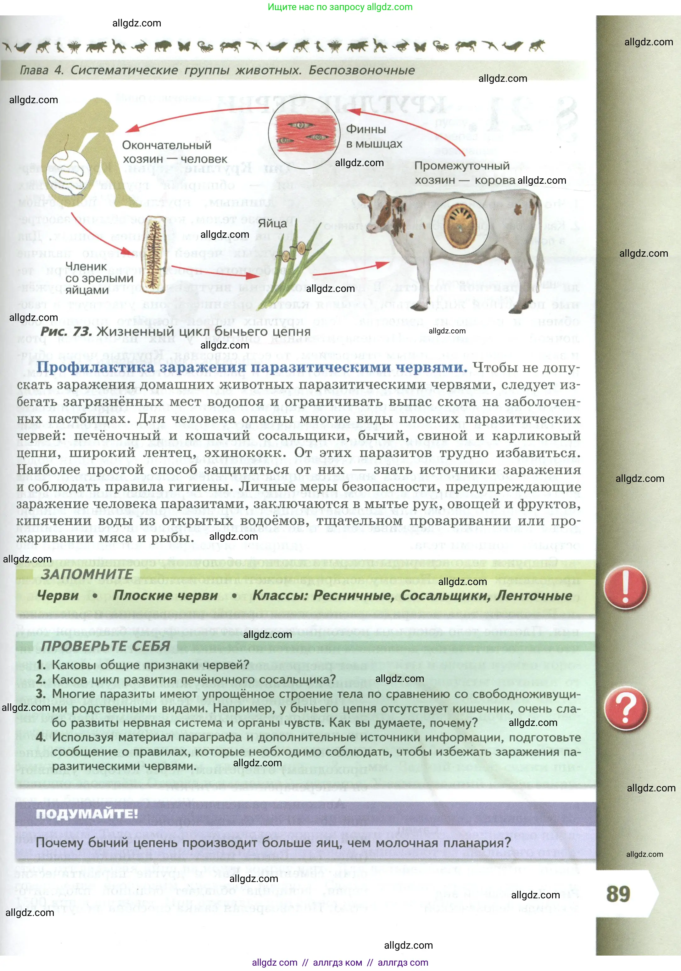 Биология, 8 класс Учебник, авторы: Пасечник Владимир Васильевич, Суматохин Сергей Витальевич, Гапонюк Зоя Георгиевна, издательство Просвещение, Москва, 2023, белого цвета, страница 89